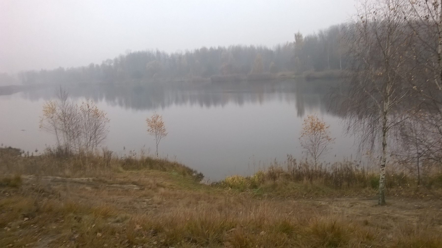 *** осень озеро туман тишина отражения в воде