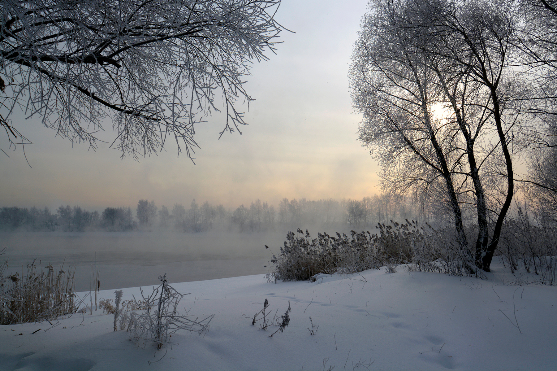 Январский день. река зима туман солнце
