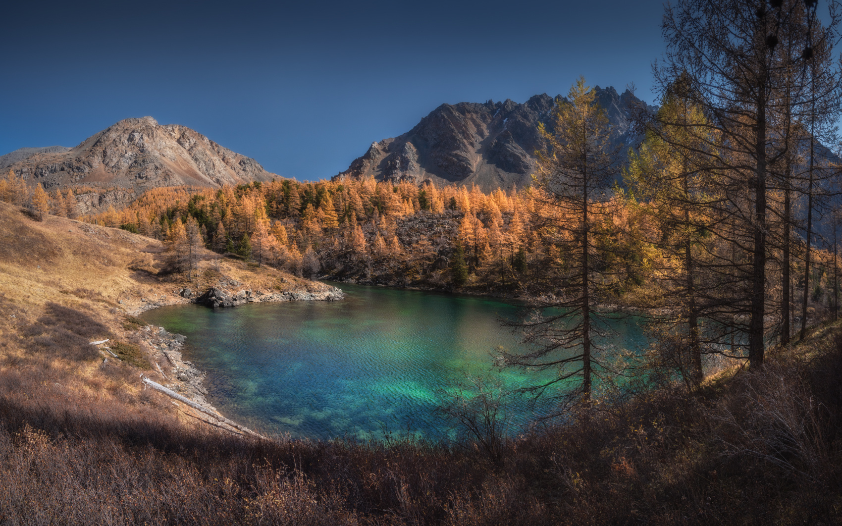 Озеро горных эльфов алтай горы кош-агачский район куектанар куектанарское озеро горное лиственницы золотая осень сентябрь лес