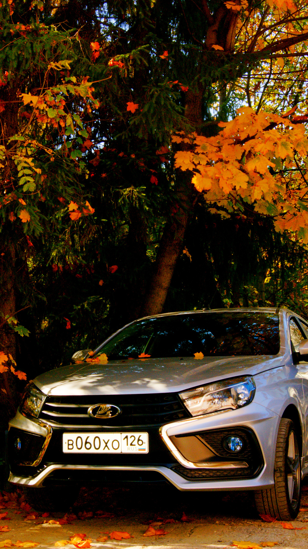 Ноябрьский  вид авто... осень листва авто у дома