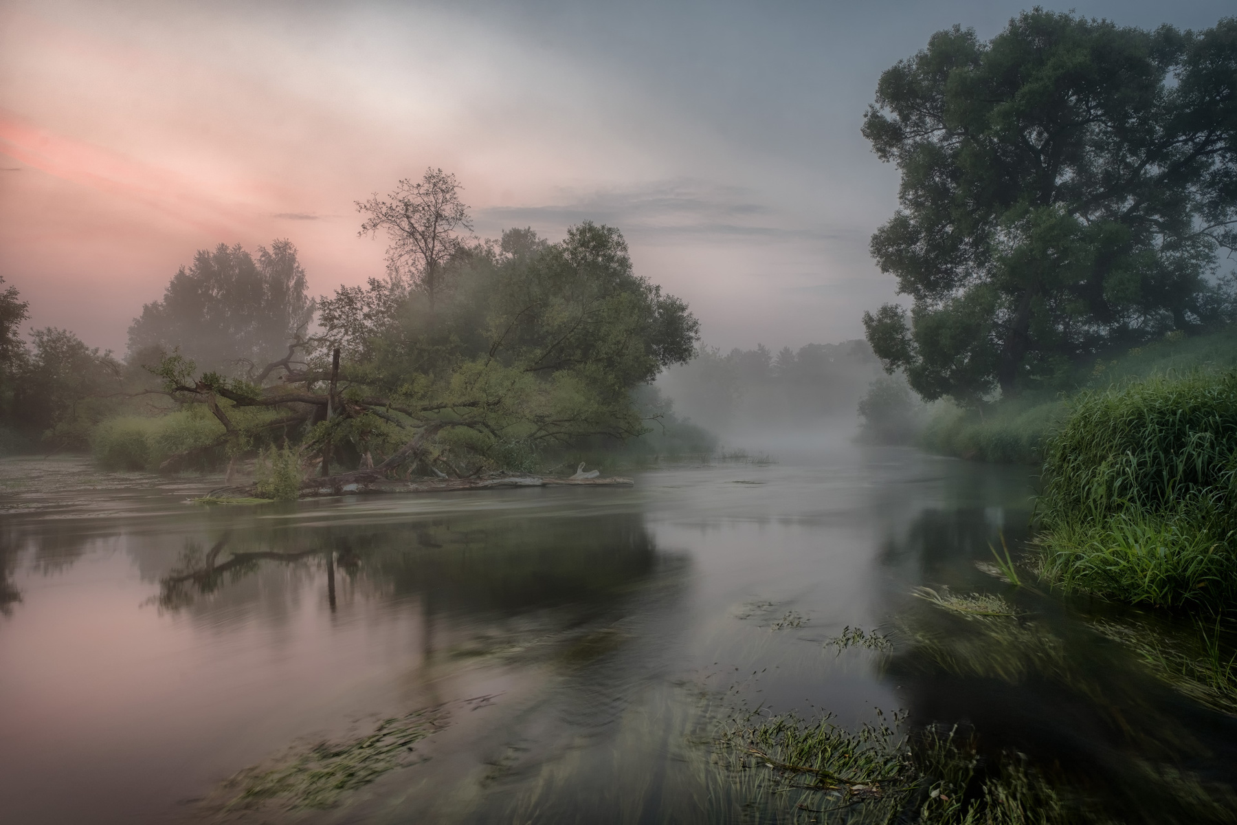 Новый день истра река пейзаж рассвет небо дерево туман утро