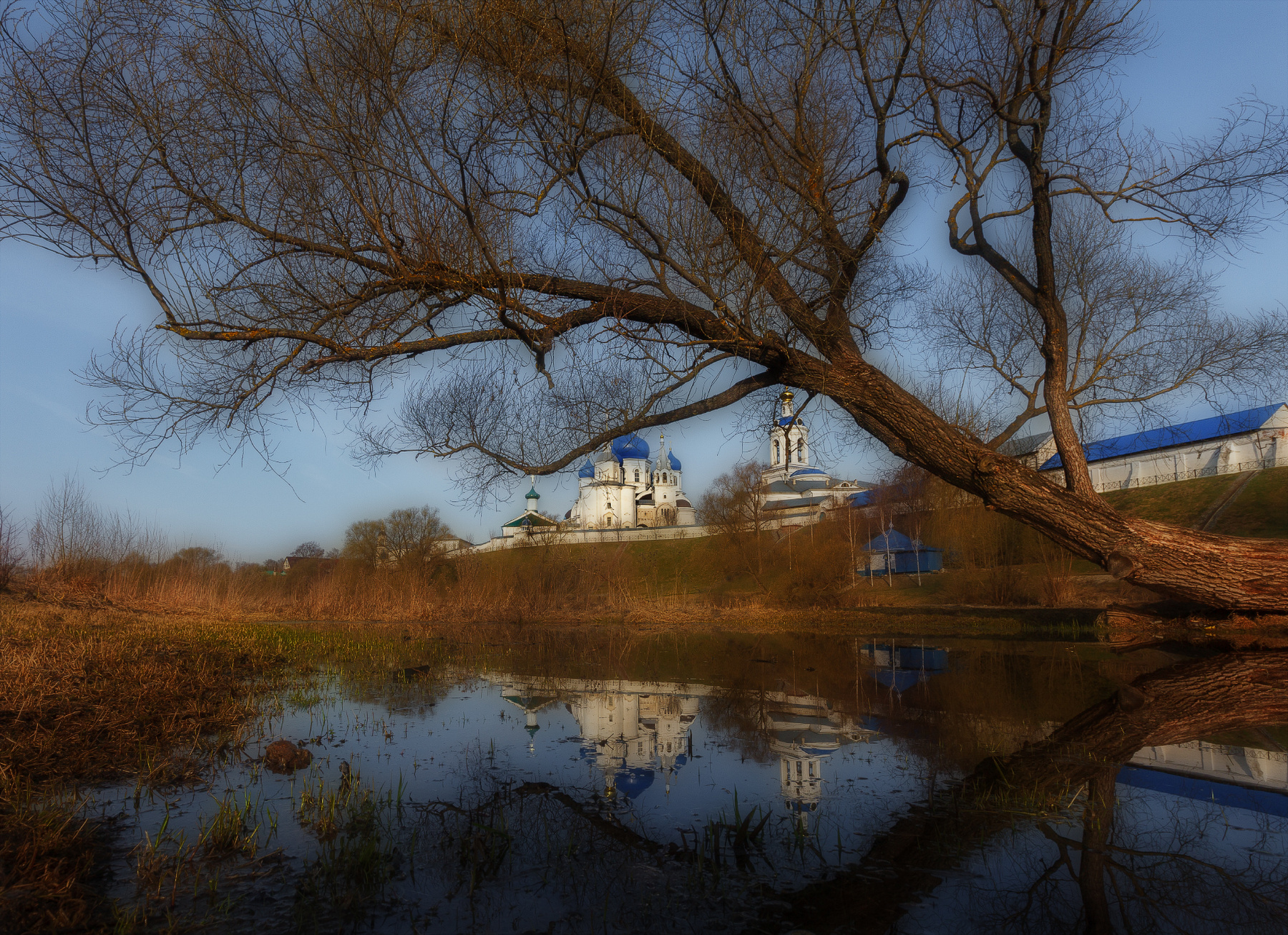 Монастырский пруд в Боголюбово Утро весна Владимирская область Боголюбово пруд дерево Боголюбский монастырь Рождества Богородицы