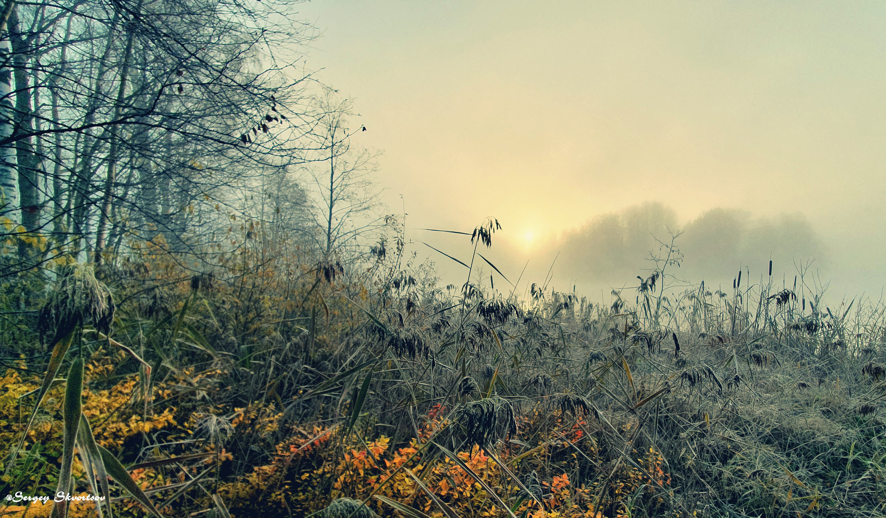 Осеннее настроение Утро озеро туман восход
