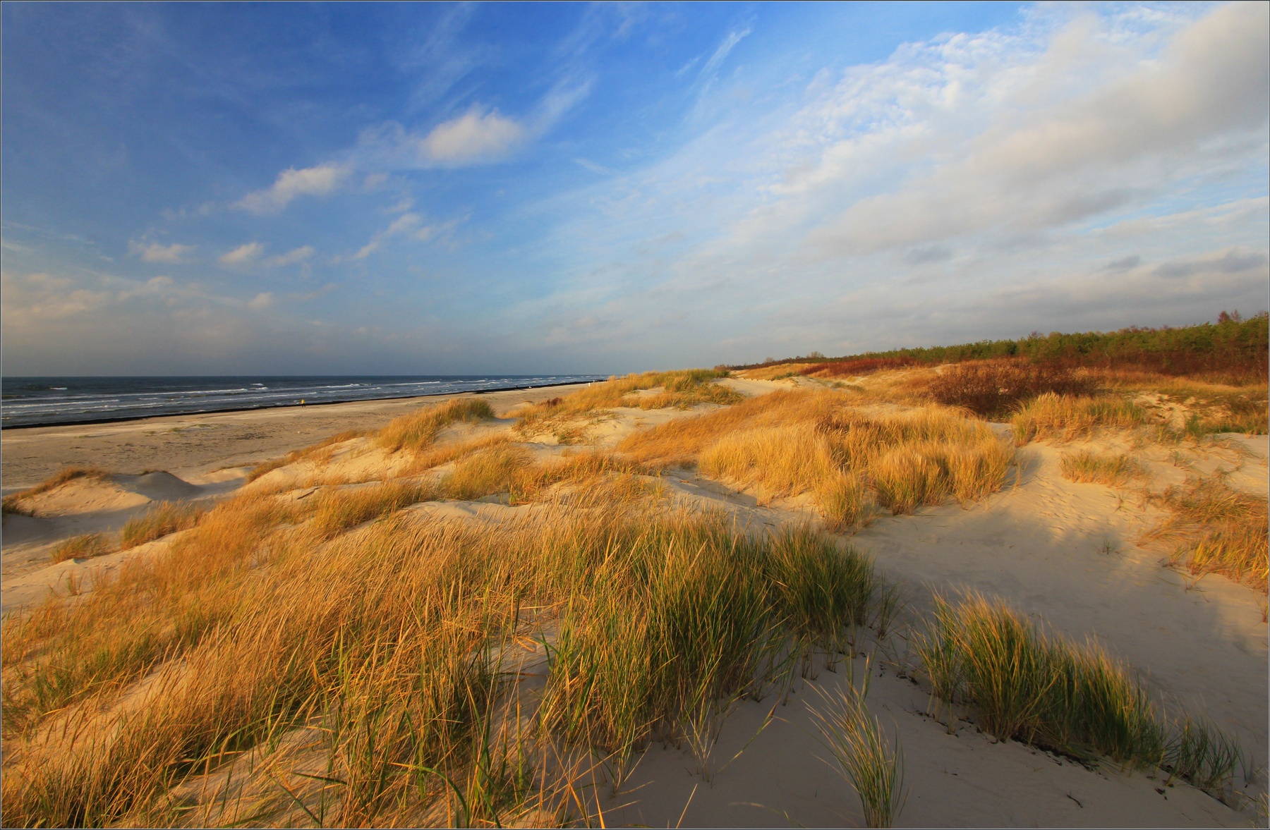 Тёплый ноябрь на янтарном берегу. балтийское море балтика берег пляж янтарь теплый ноябрь