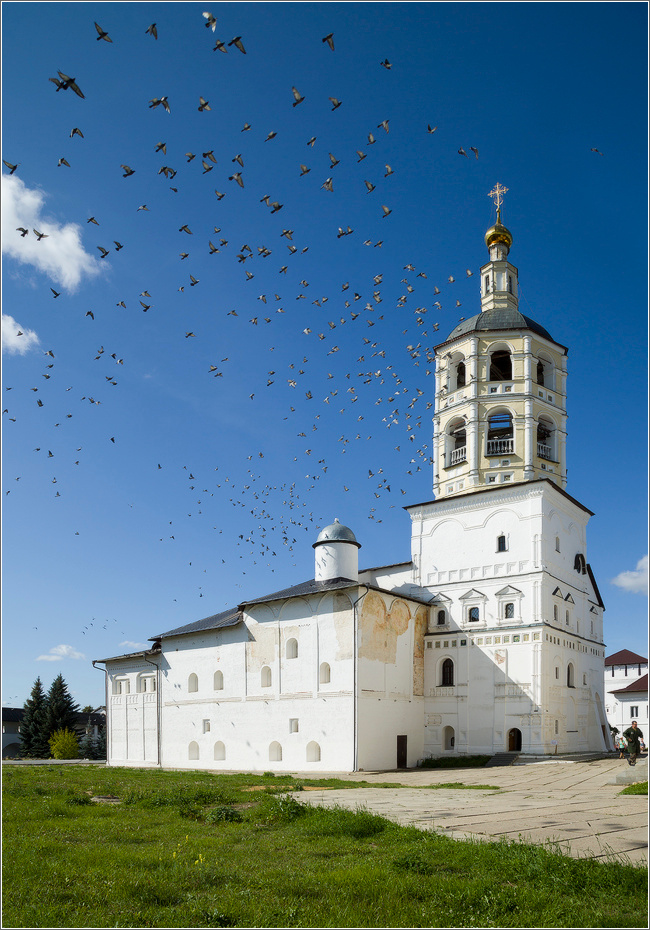 Над колокольней монастырь птицы