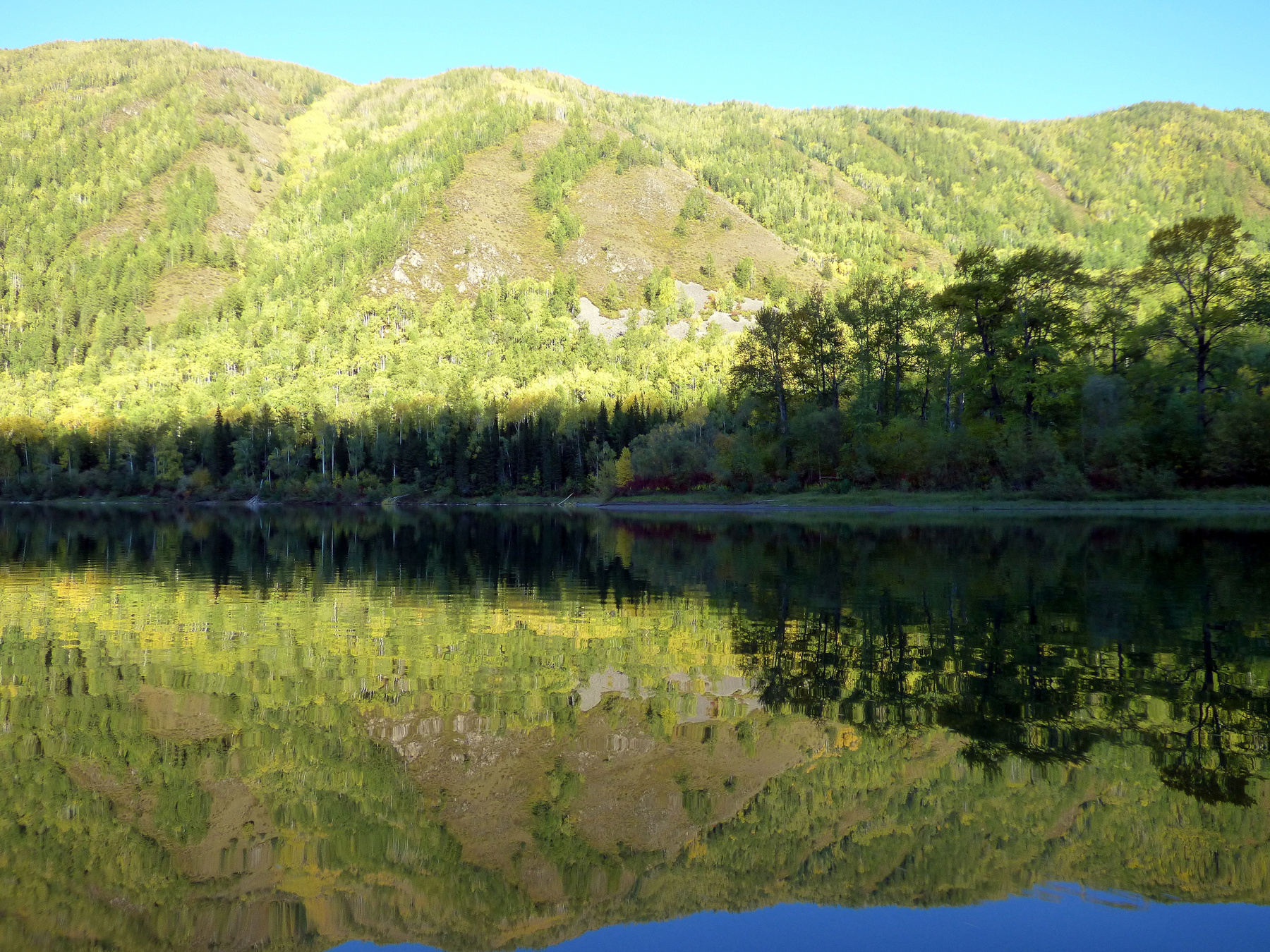 Зеркало река вода зеркало горы лес отражение