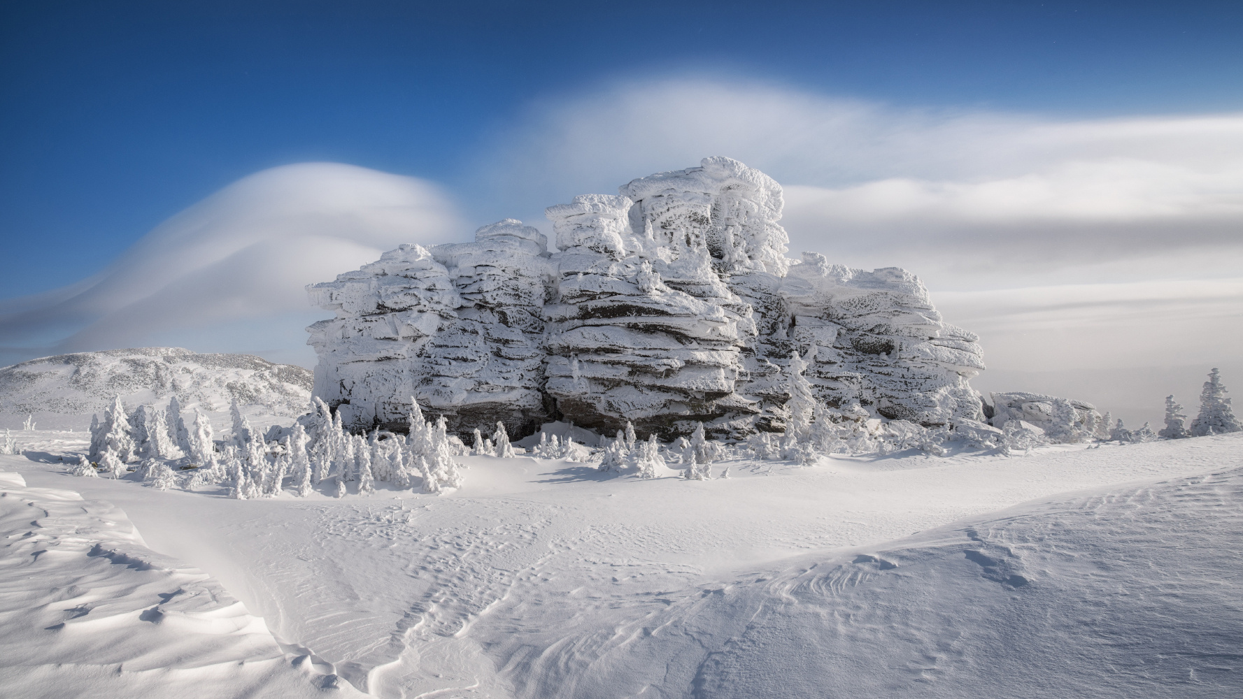 В снежном плену шерегеш гора курган куржак иней елки ели горы горная шория кемеровская область снег зима ноябрь