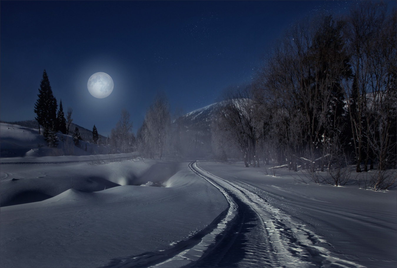 Колея пейзаж лес ночь луна снег дорога
