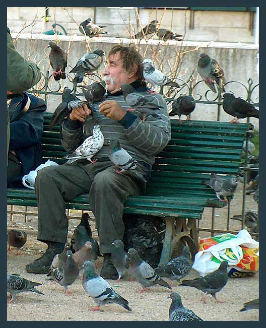 Клошар Нотр-Дам Париж нищий клошар дед голуби скамейка