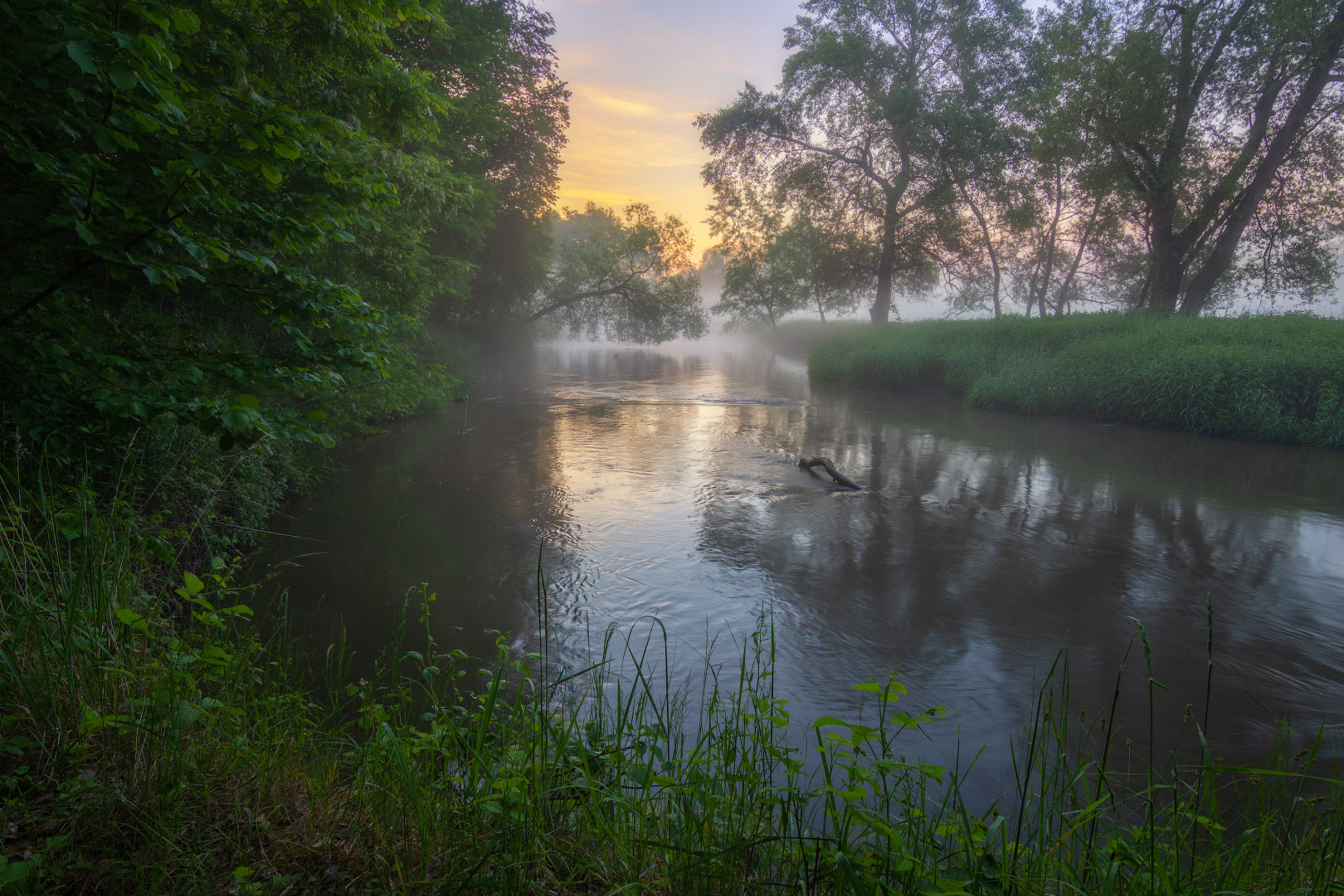 Раннее утро на реке рассвет туман утро