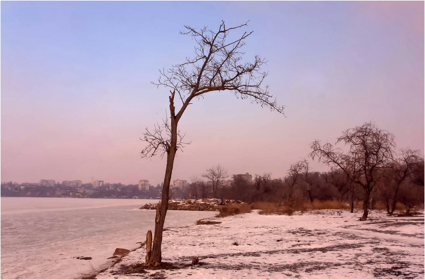 Суровые дни января... Река Ингул берег небо дерево.