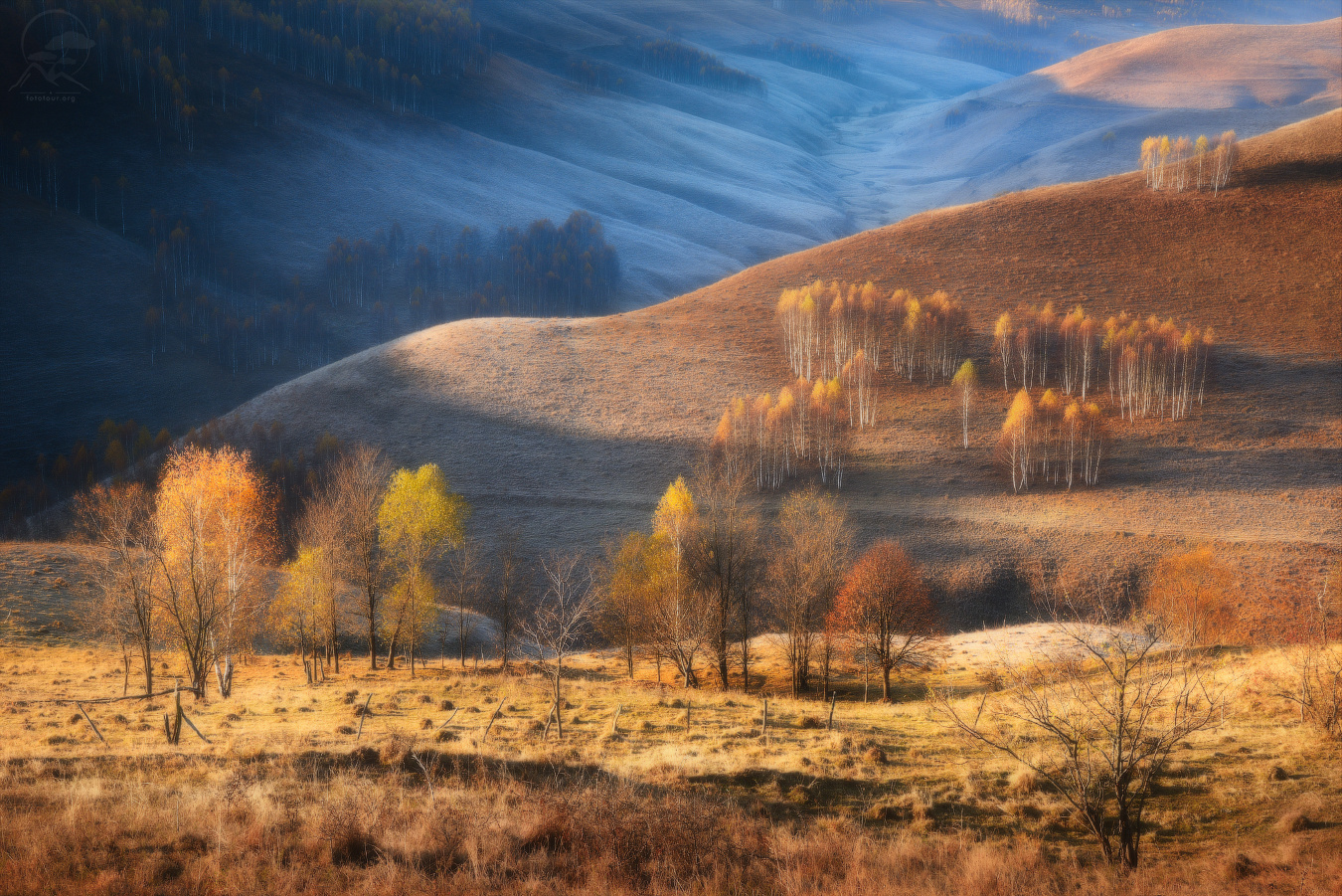 Сюжеты румынской осени деревья пейзаж румыния карпаты осень