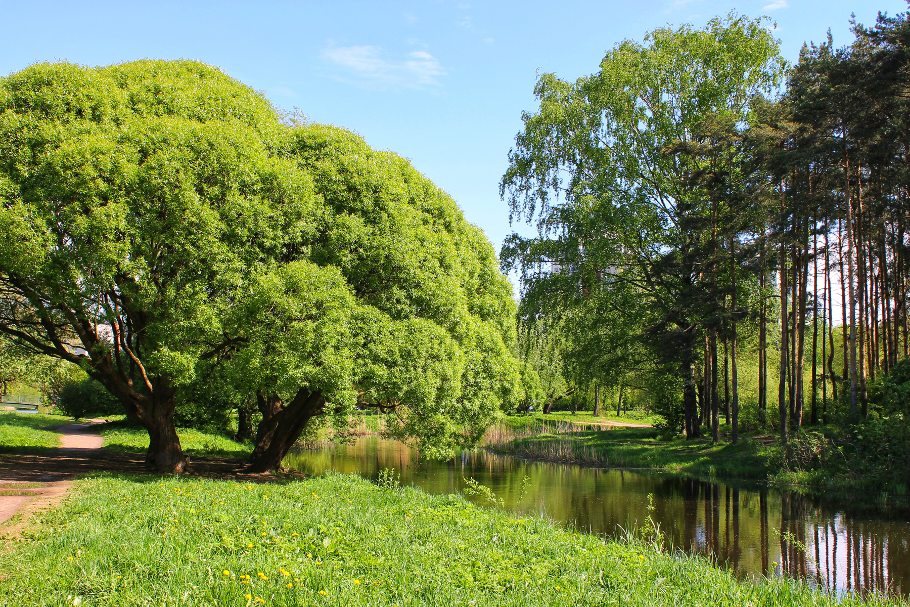 Парк "Александрино" парк природа весна пруд пейзаж