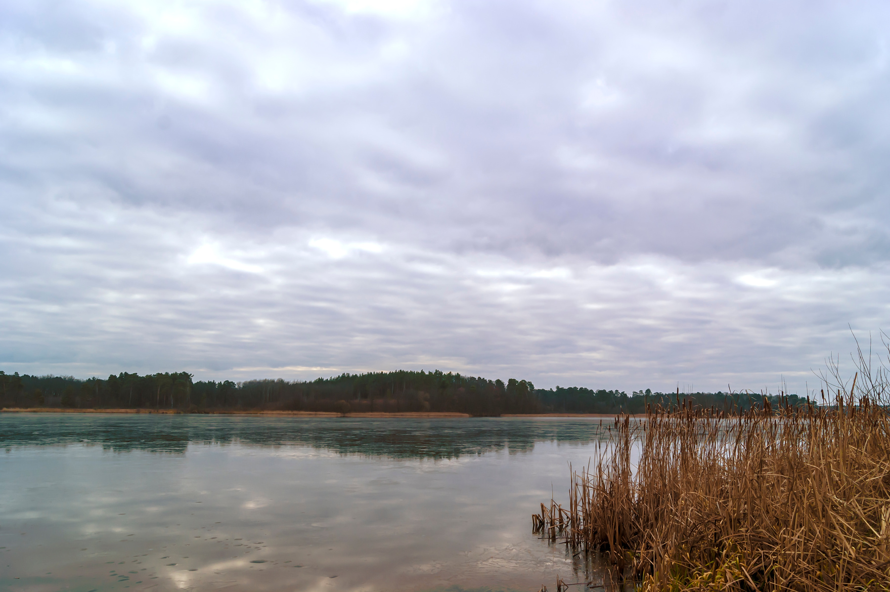 Пасмурное утро на озере 