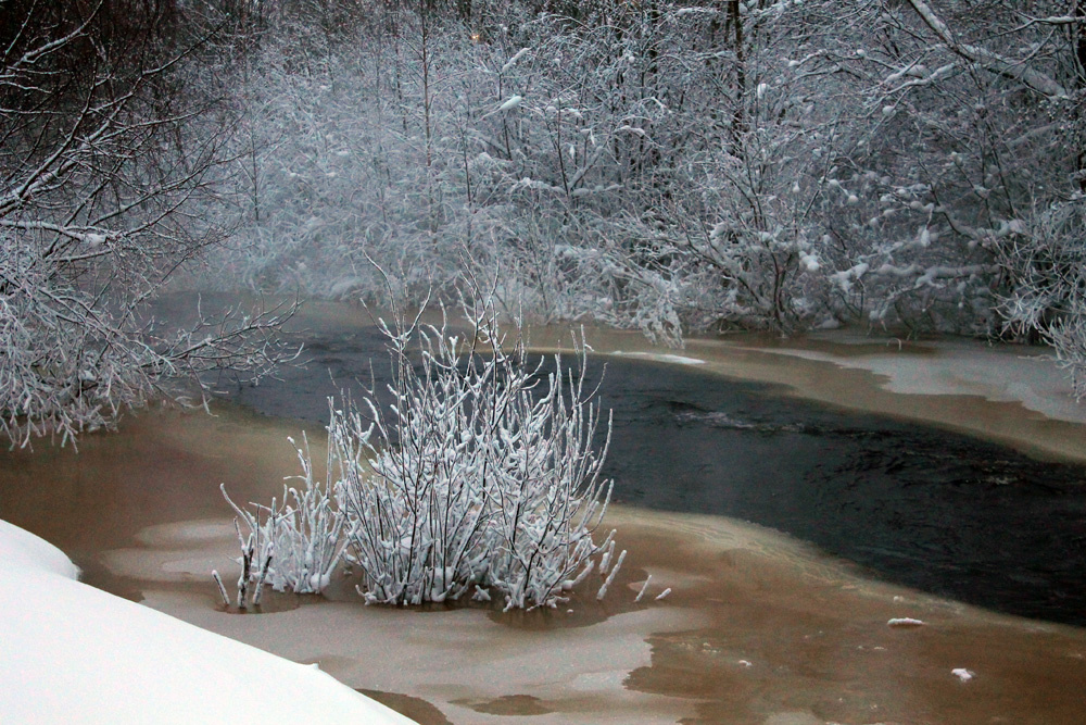 Зимой на Лососинке Зима снег деревья река