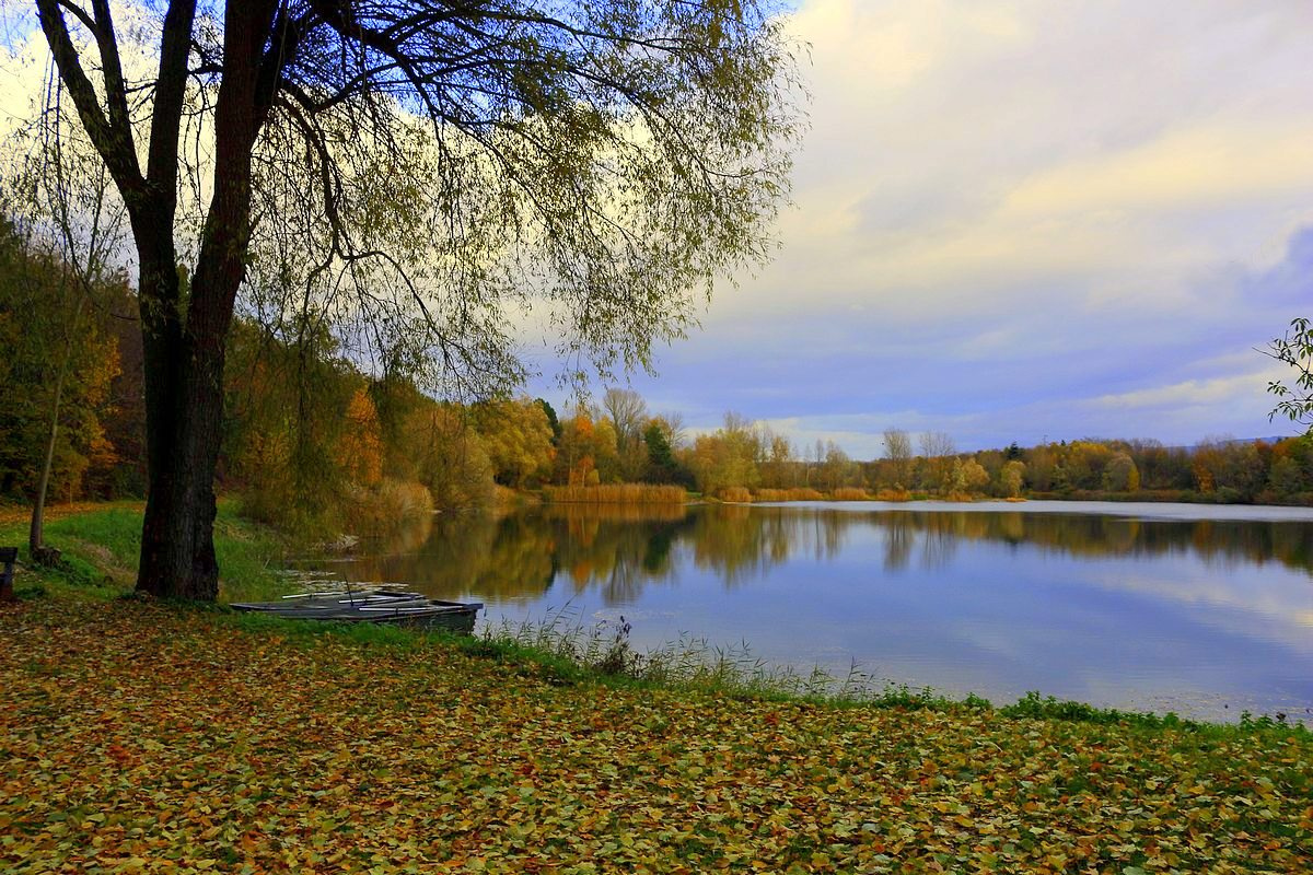 Осенний вечер Осень озеро листва