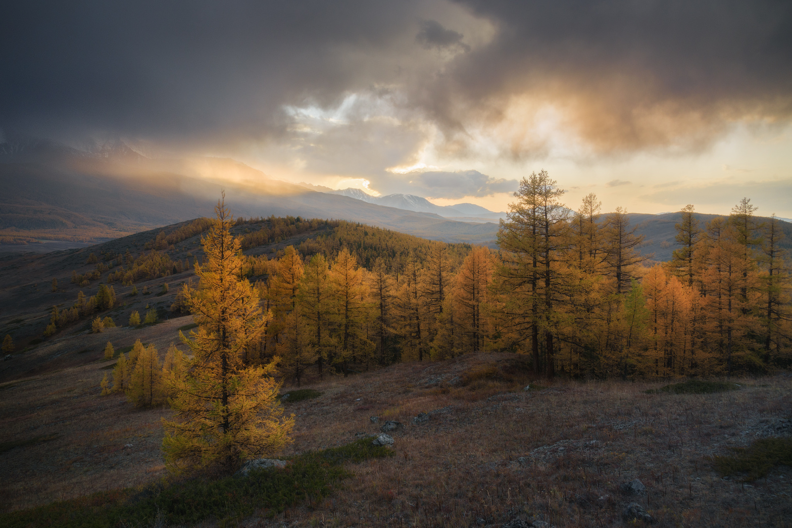 Дыхание осени алтай горы улаганский район урочище ештыкель лиственницы золотая осень закат сентябрь степь тайга