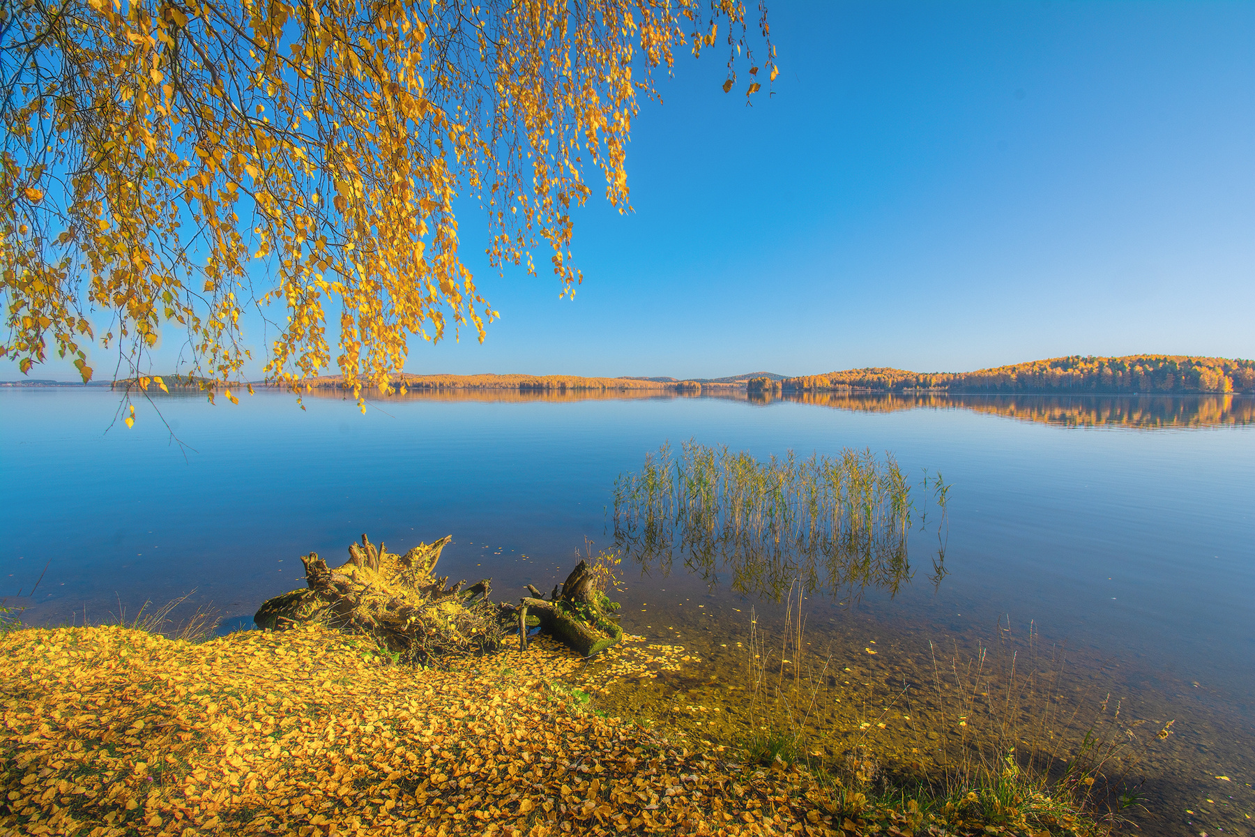 Осеннее озеро 