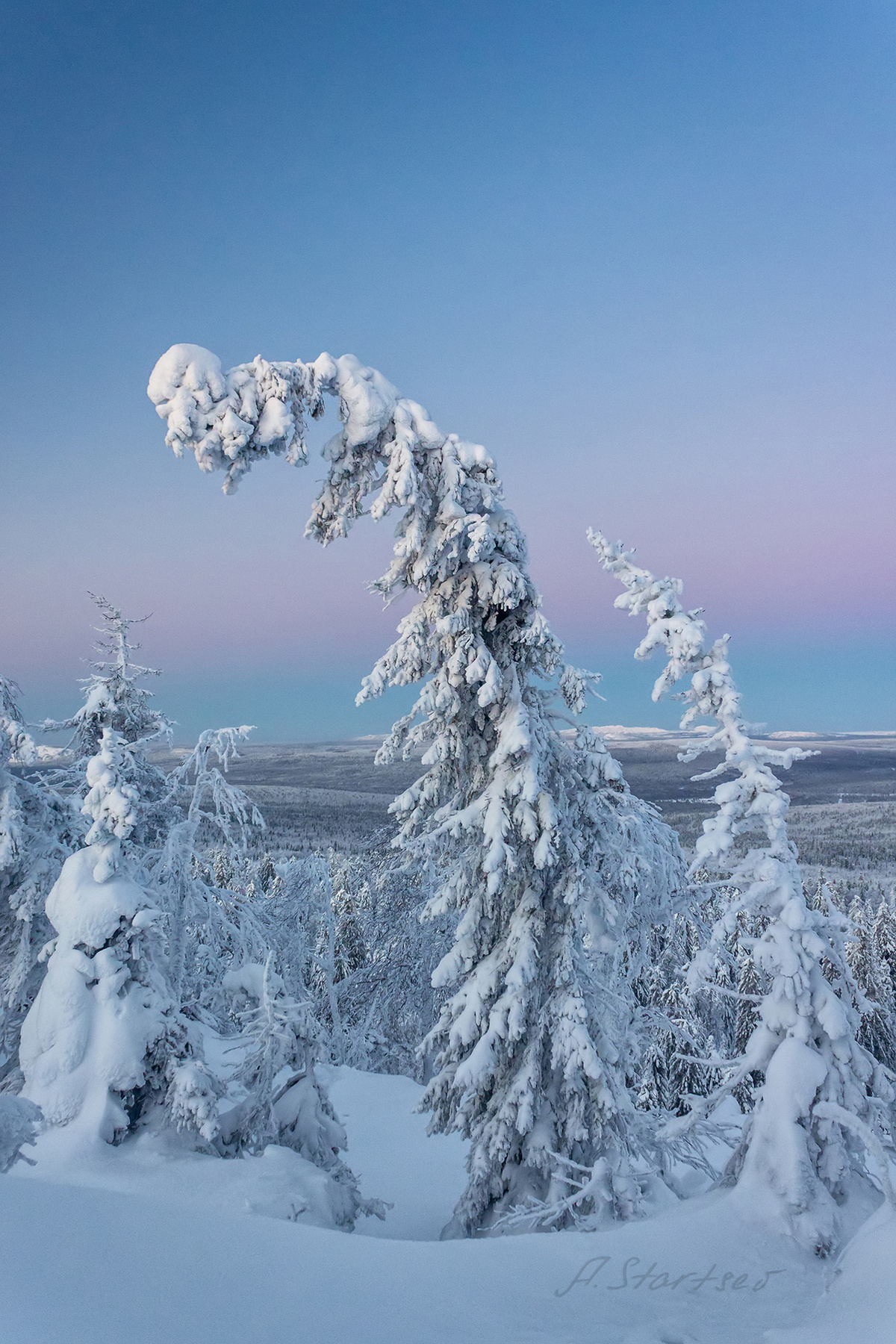 Поклон утро Урал туризм снег рассвет природа Пермский_край пейзаж зима гора дерево