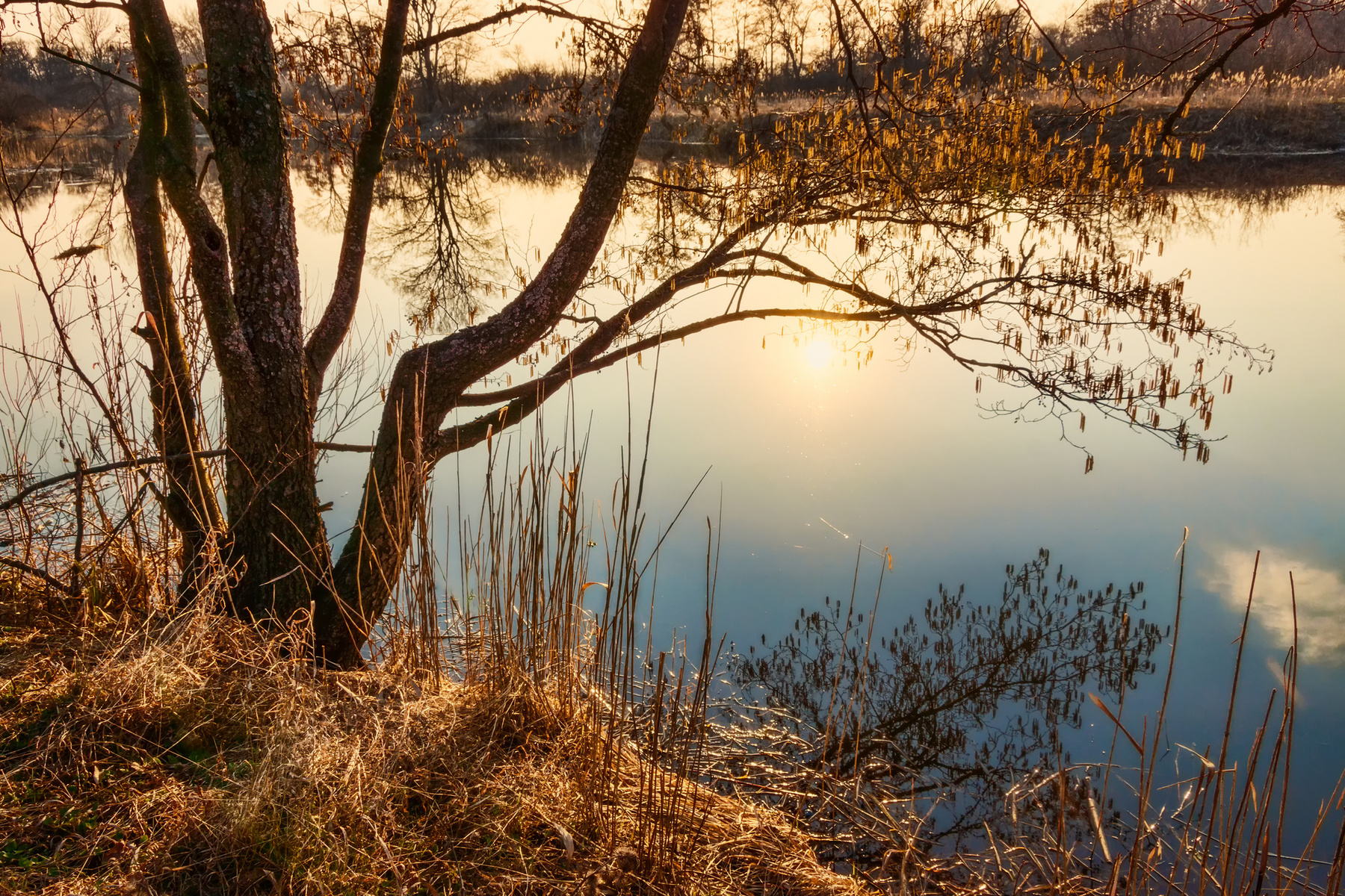 Солнышко в реку окунулось пейзаж природа весна вечер закат солнце вода Усманка река