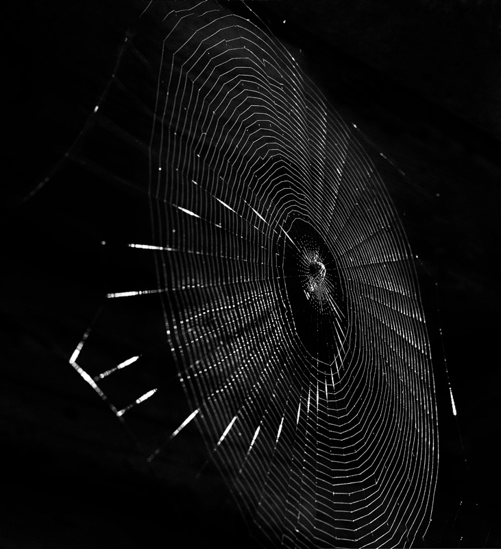 Ручная работа паук паутина солнце блики