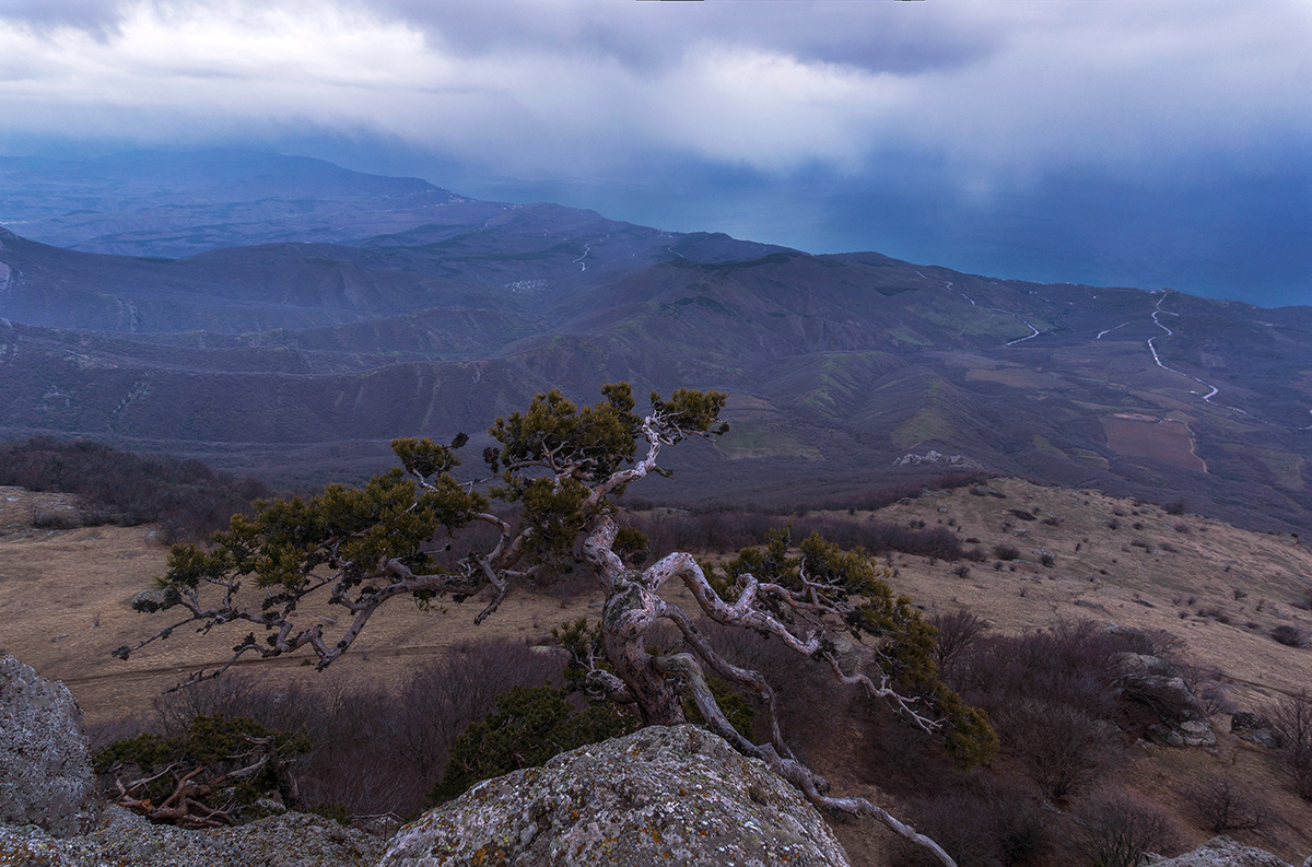 На Демерджи Крым Демерджи горы пейзаж облака дерево