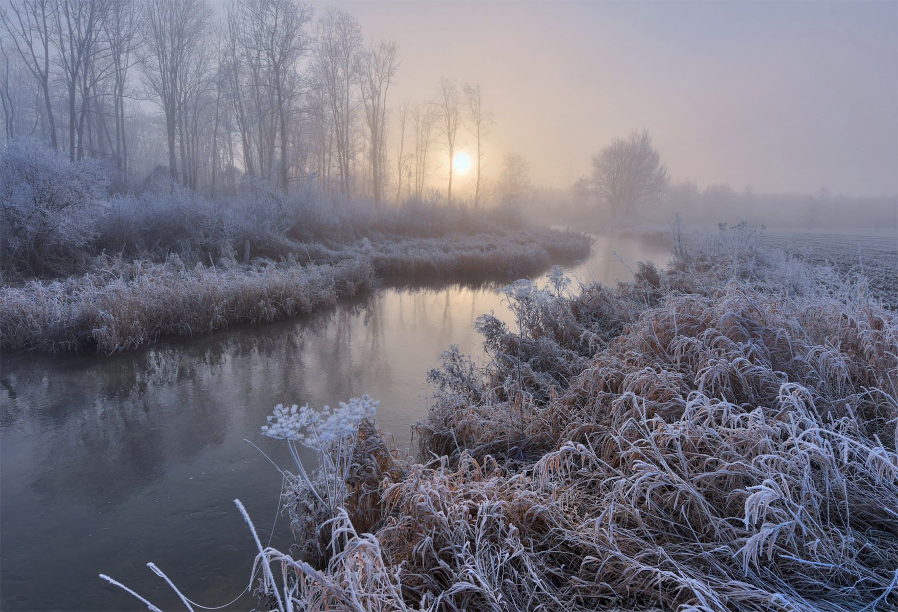 Туманным утром у ручья утро туман ручей восход солнца