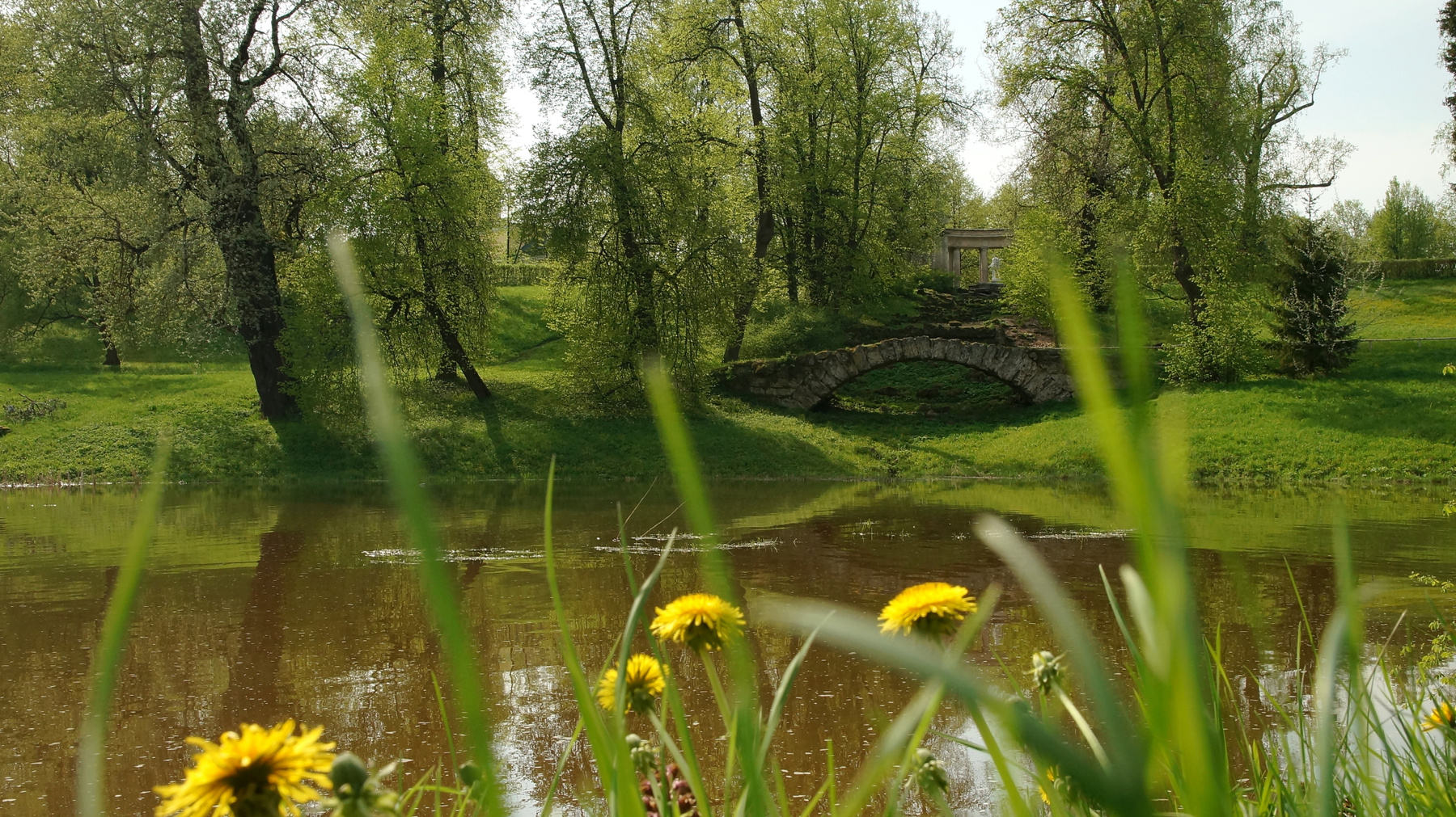 Пейзажи весеннего Павловска Павловский парк весна речка лес