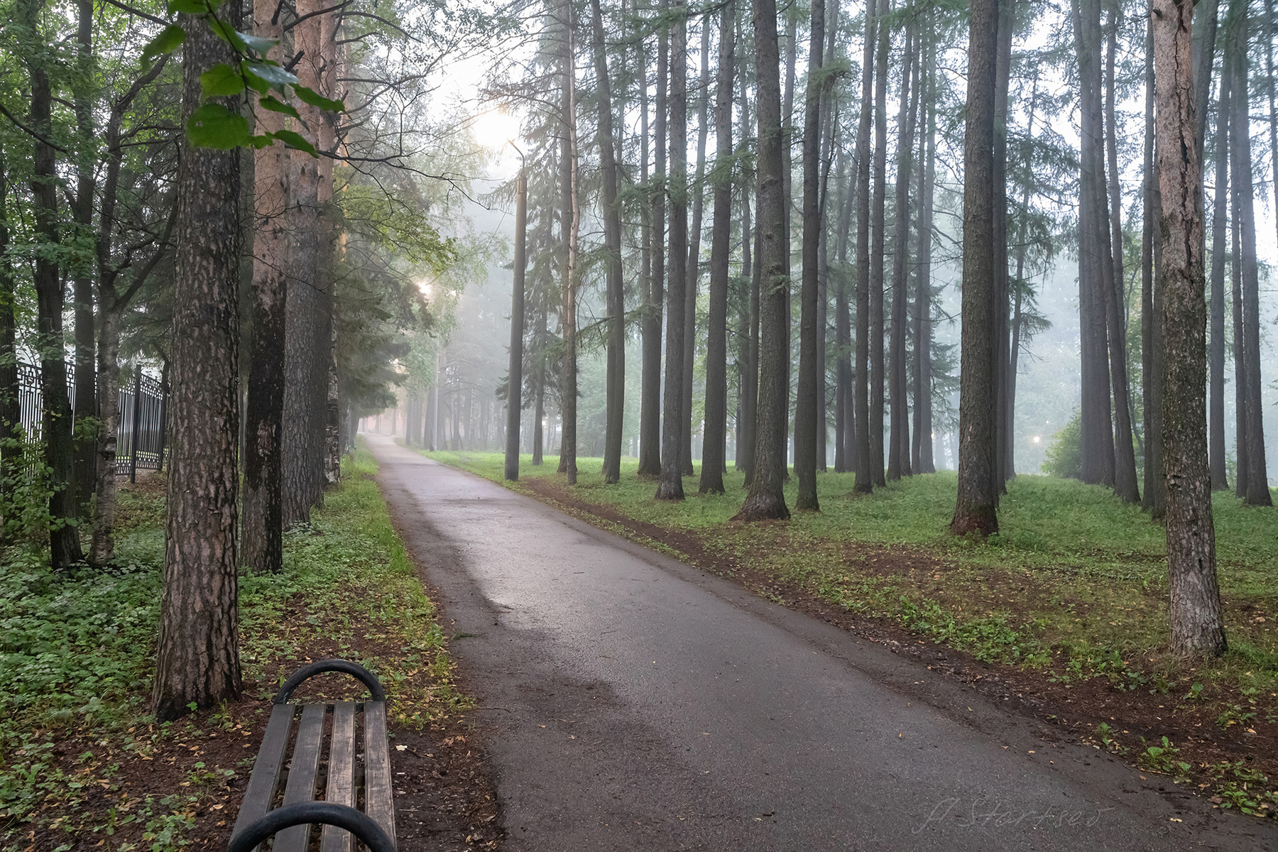 Туманное утро в парке утро Урал туман природа Пермский_край пейзаж парк Лысьва