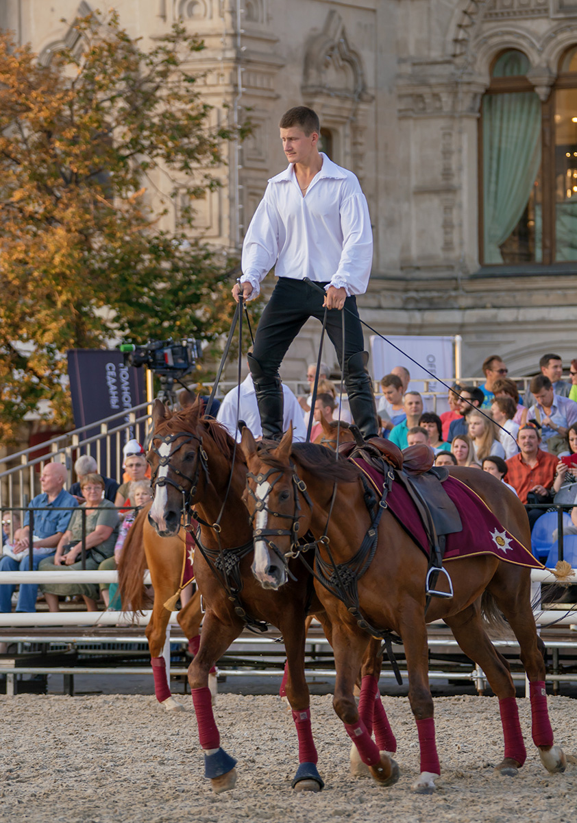 Джигитовка джигитовка конкур конь наездник фестиваль спасская башня