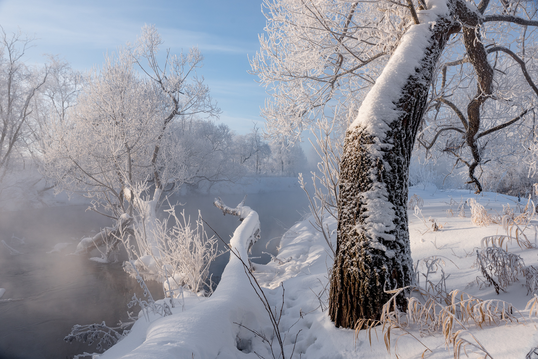 К реке наклонясь природа пейзаж истра мороз иней утро зима