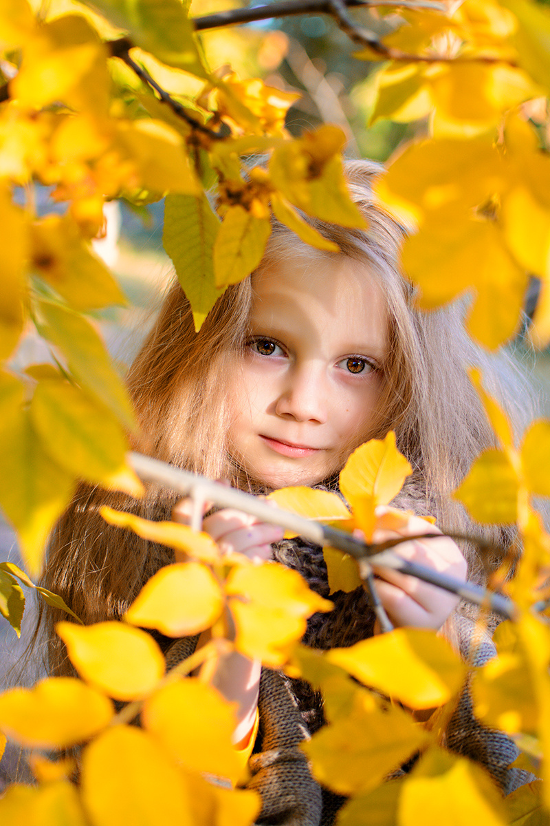 Осень в глазах... осень берёза русская девочка