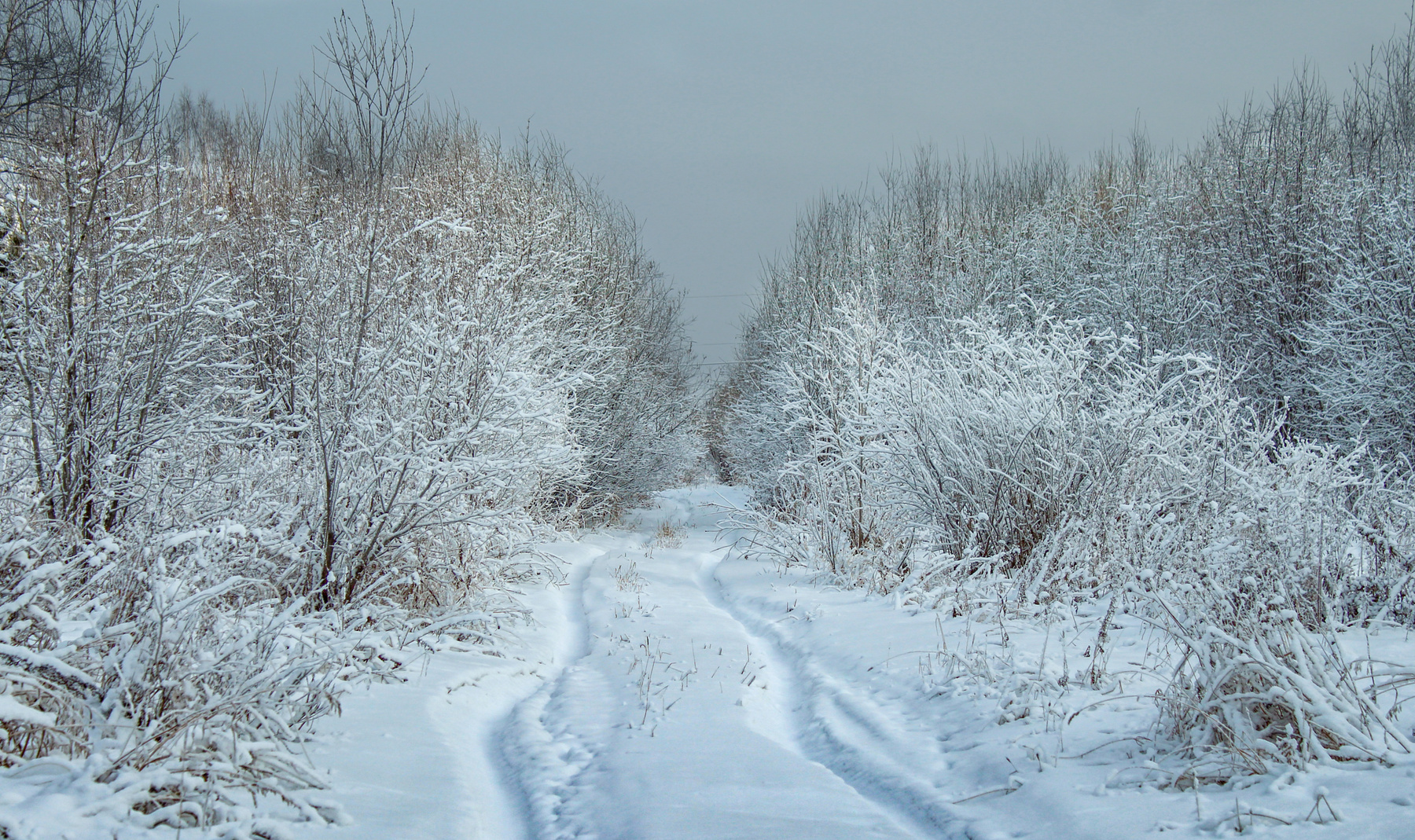 снежная фоточка россия урал природа пейзаж зима снег деревья лес дорога