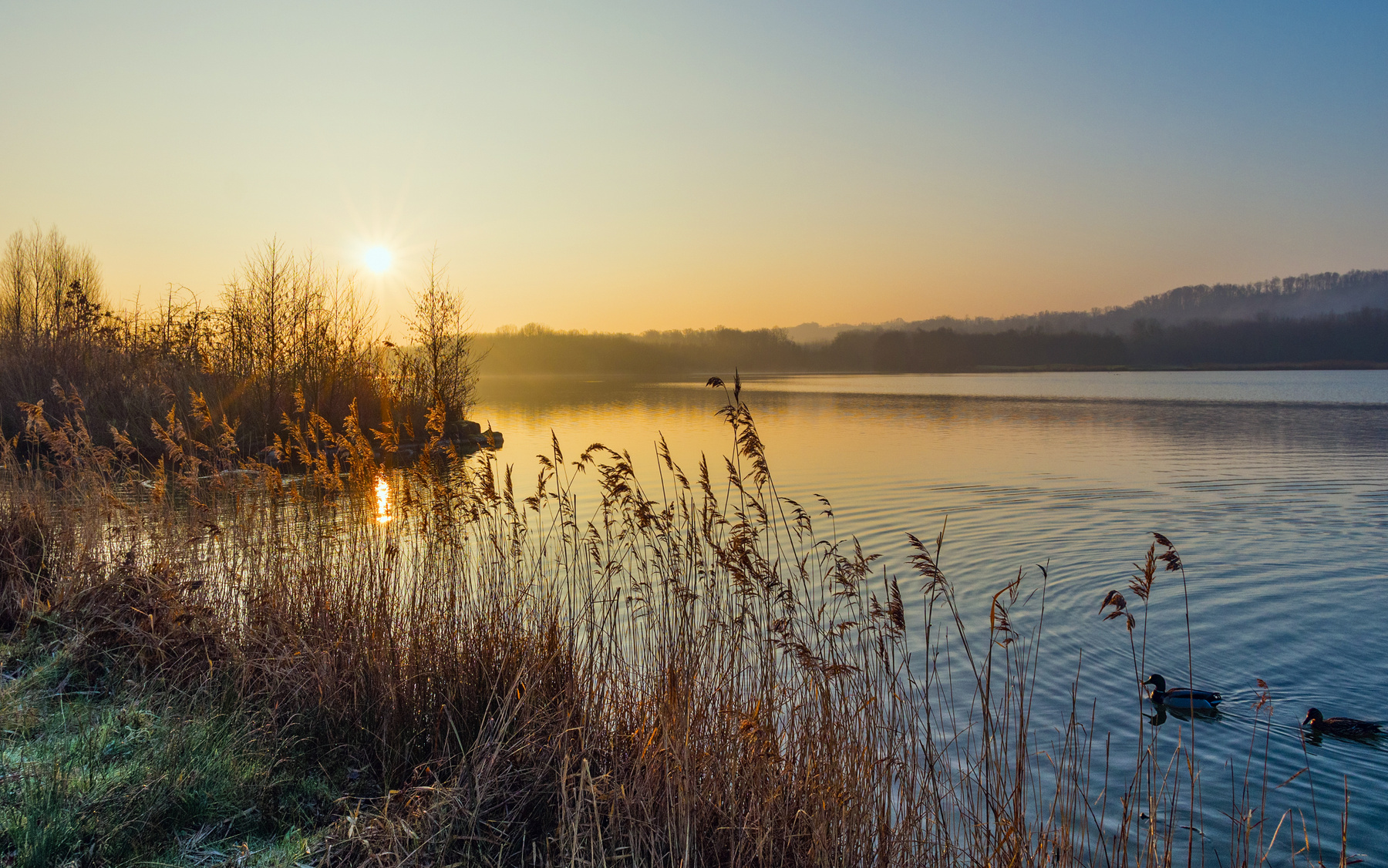 Озера тихие озера дальние. Озеро Дивное Балашиха. Озеро Дивное Калининград. Рассвет на озере. Утро на озере.