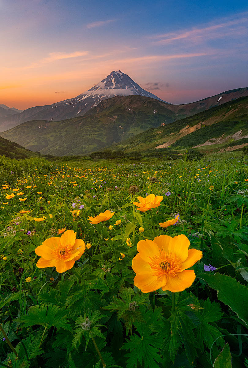 Тихий вечер Камчатка вулкан цветы рассвет природа путешествие фототур пейзаж