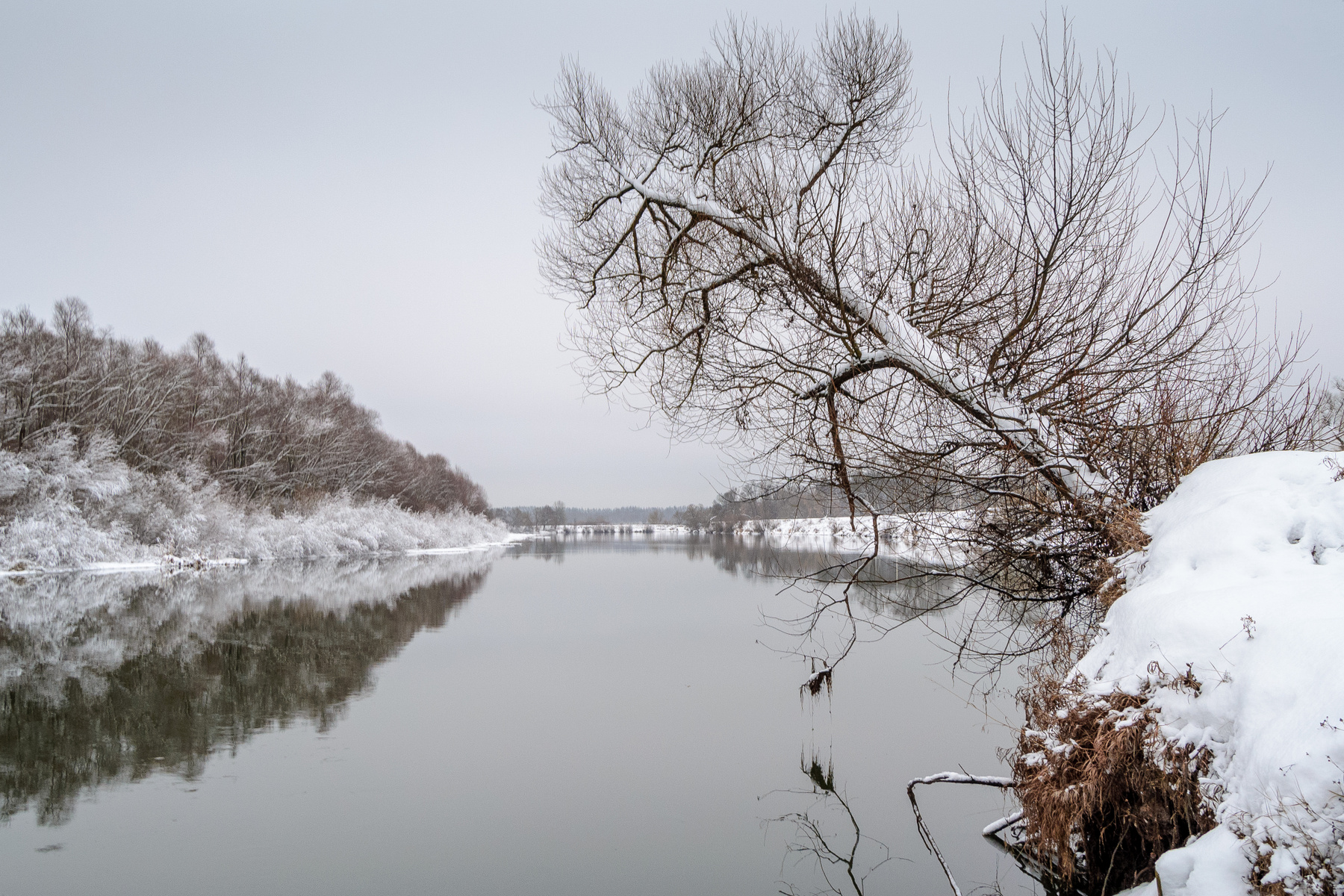 На краю. река зима снег дерево