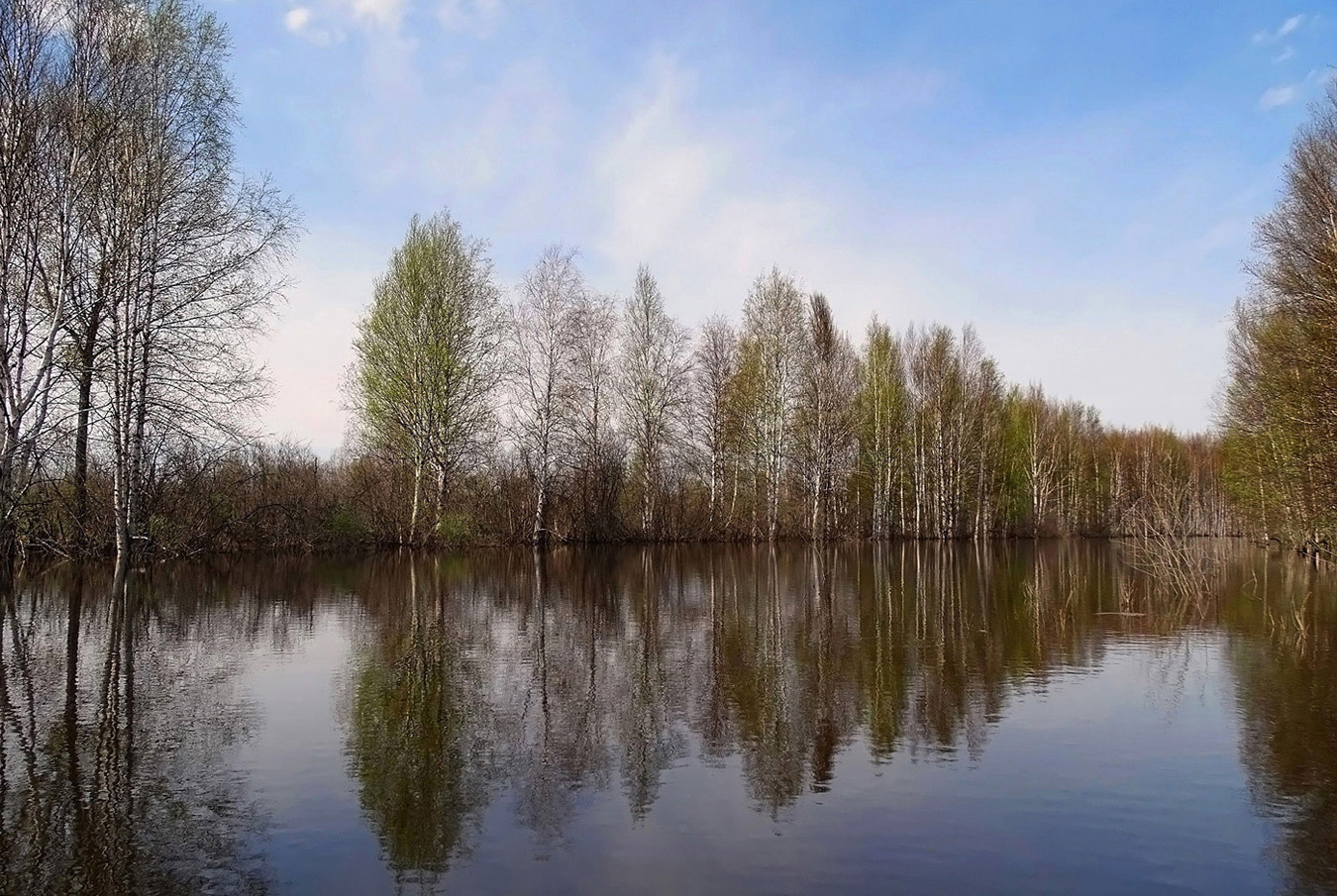 Весеннее озеро Сибирь весна природа пейзаж