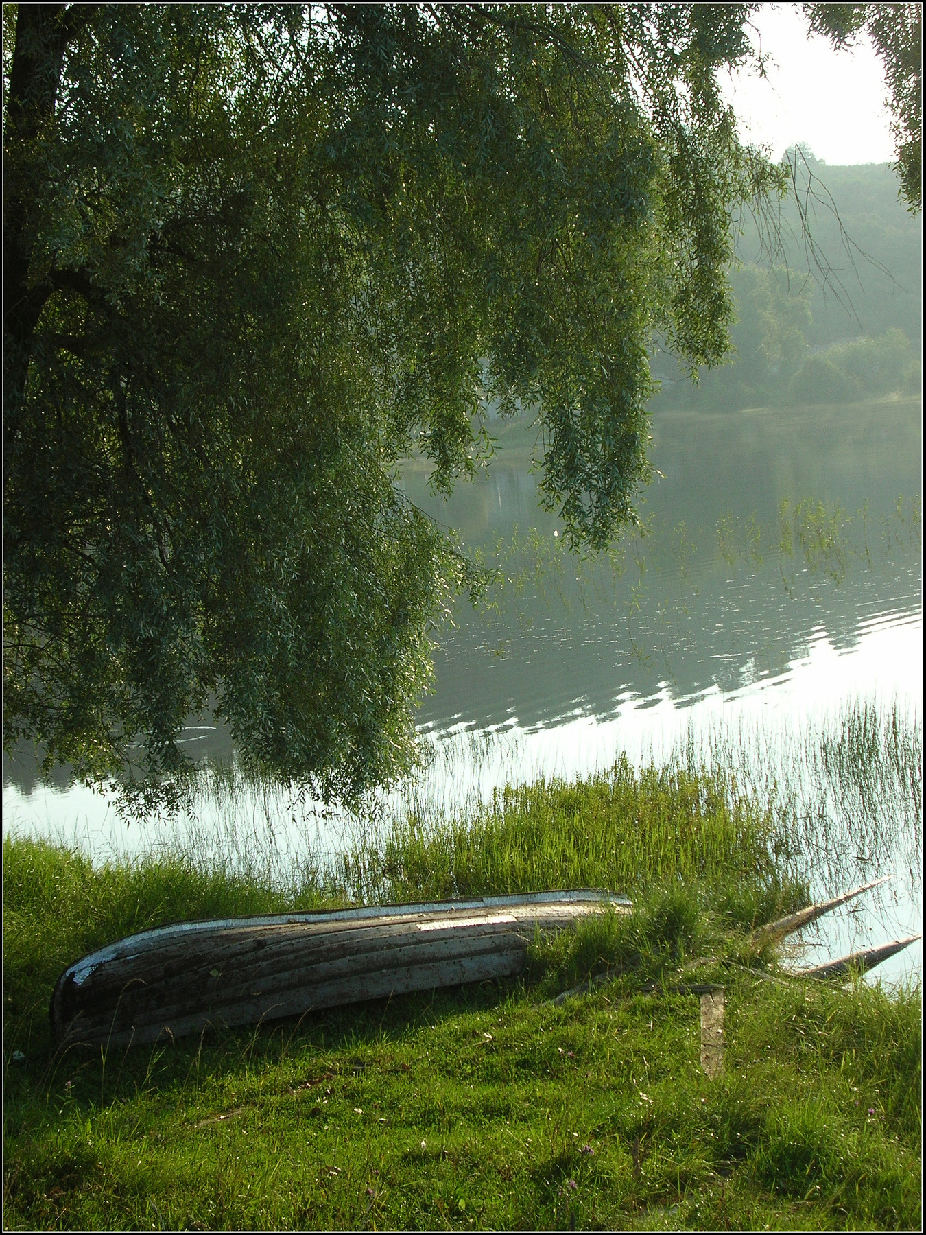 *** Карелия лето лодка озеро дерево трава