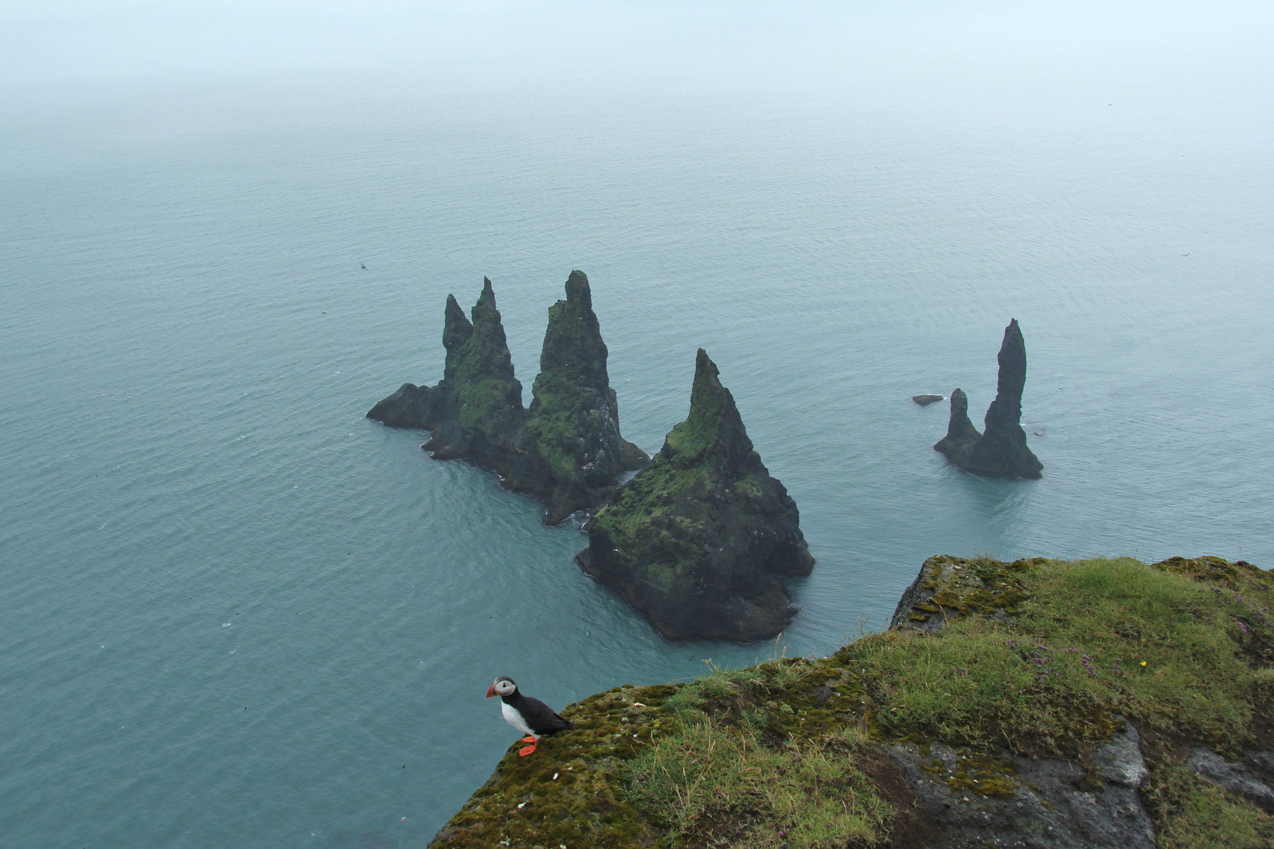 Скалы Reynisdrangar. Исландия пейзаж скалы