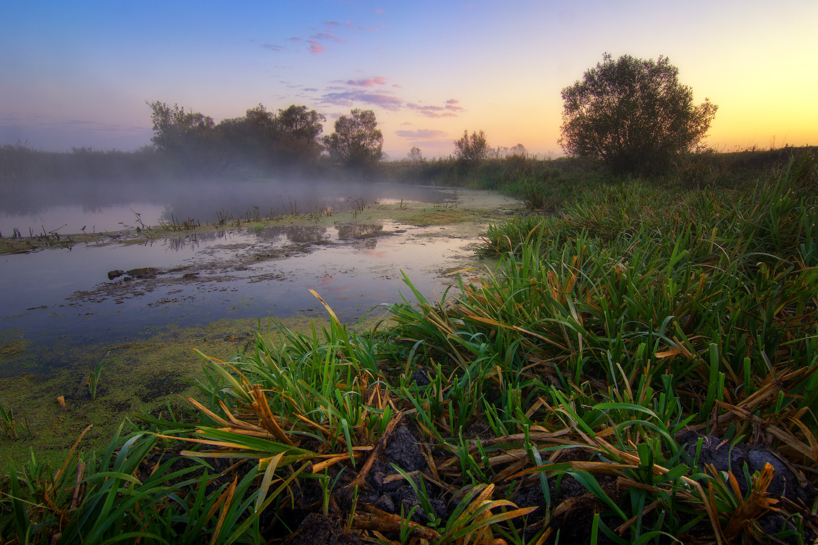 Рассвет на реке пейзаж природа туман река волчья