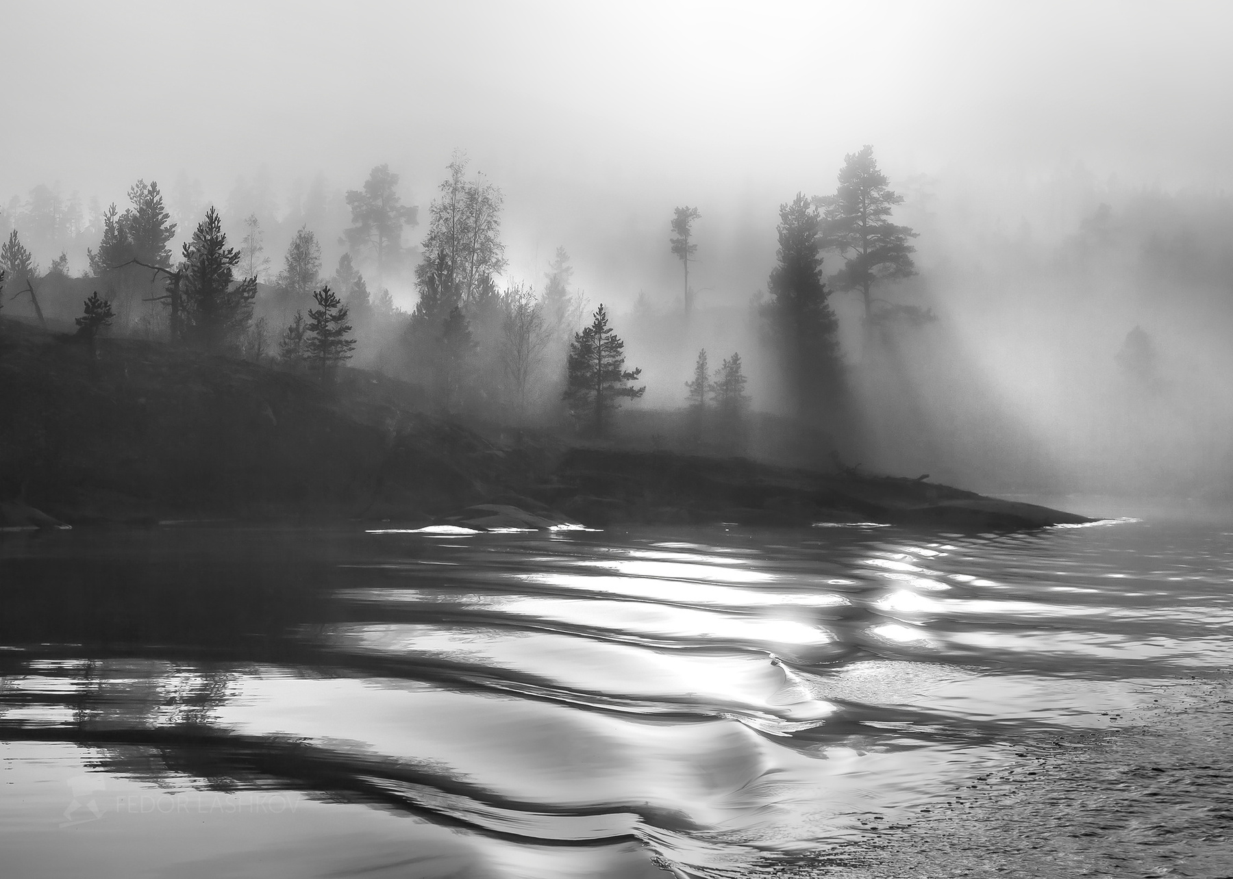 Туманный бархат Чёрно-белое пейзаж шхеры национальный парк Ладога Ладожское озеро берег сосна дерево солнце водоём туман туманный лучи волны вода