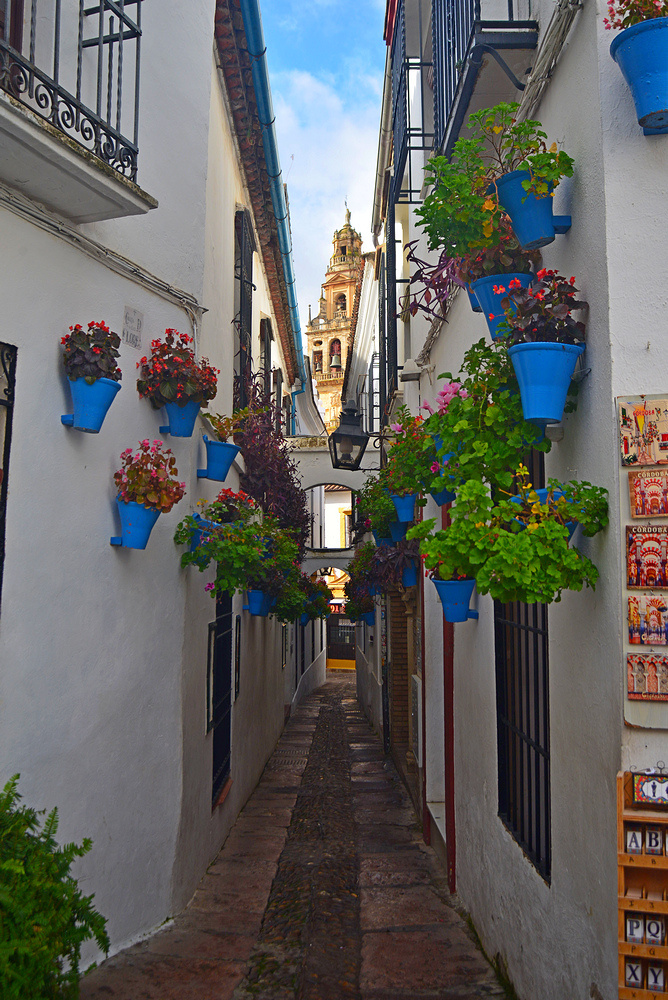 Цветочная улица Кордовы Кордова Испания