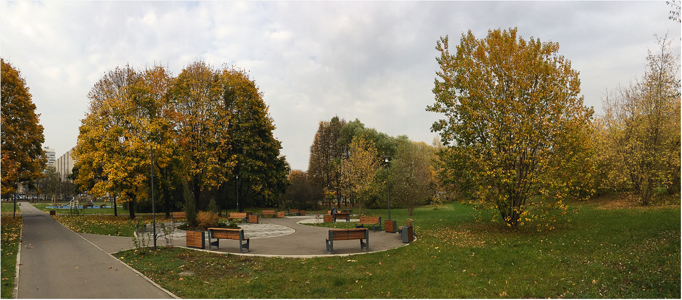 осень парк Москва