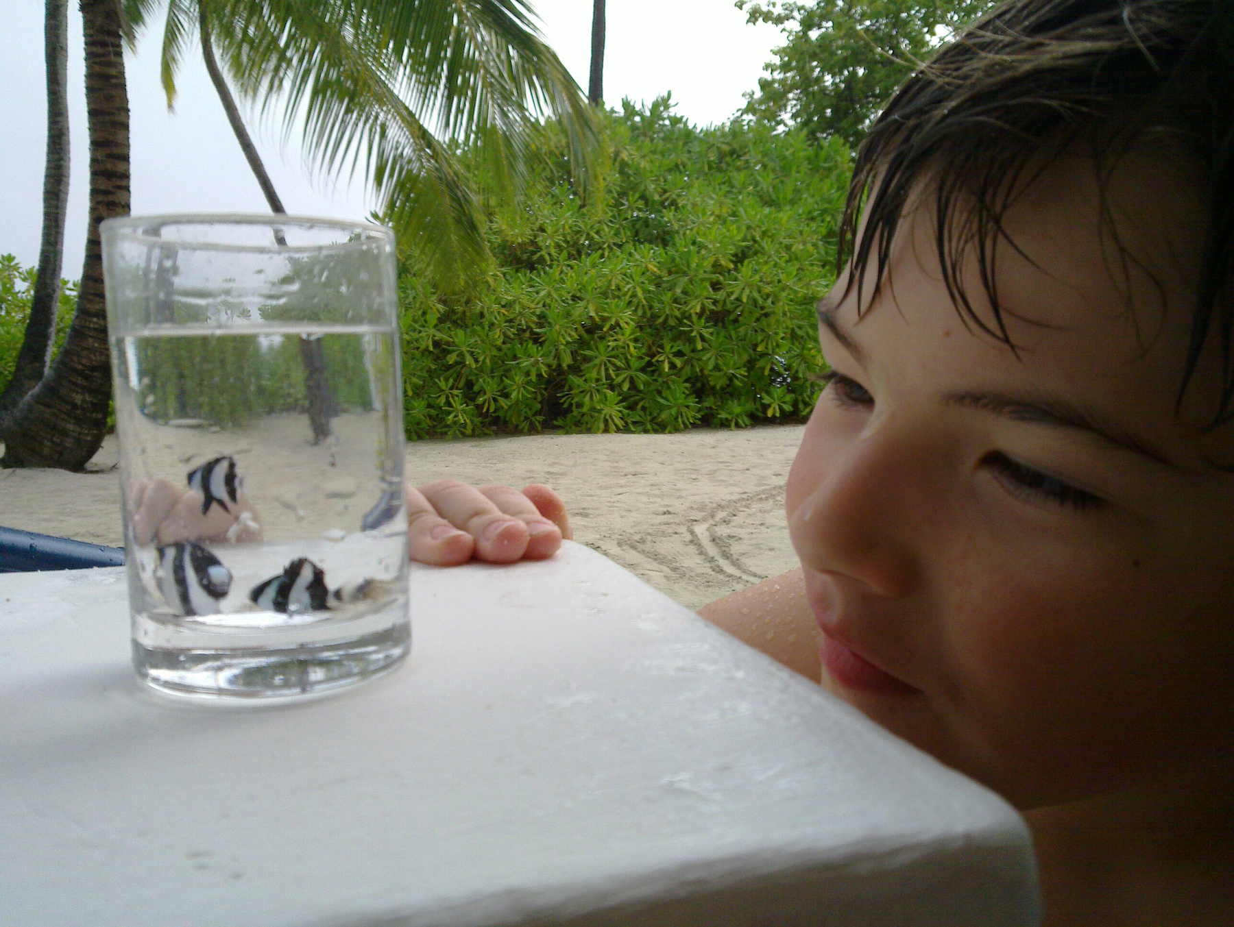 Зачерпнул Мальдивских рыбок стаканом Мальчик рыбки пандус виллы пляж мальдивы