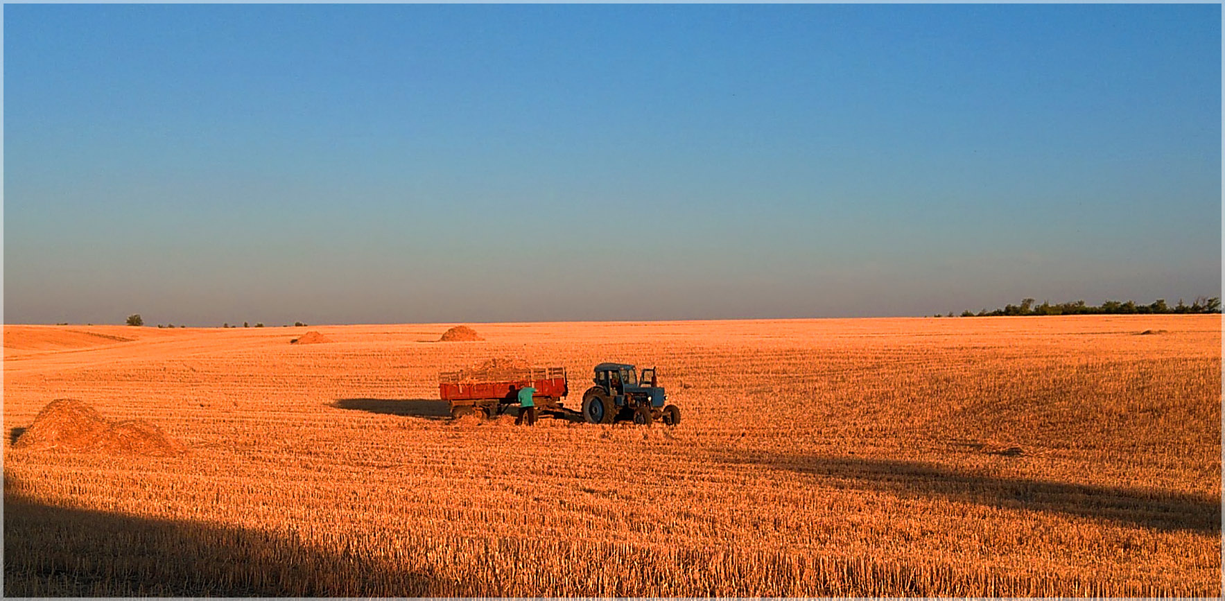 Вечерело... Волгоград поля трактор уборочная пшеница урожай