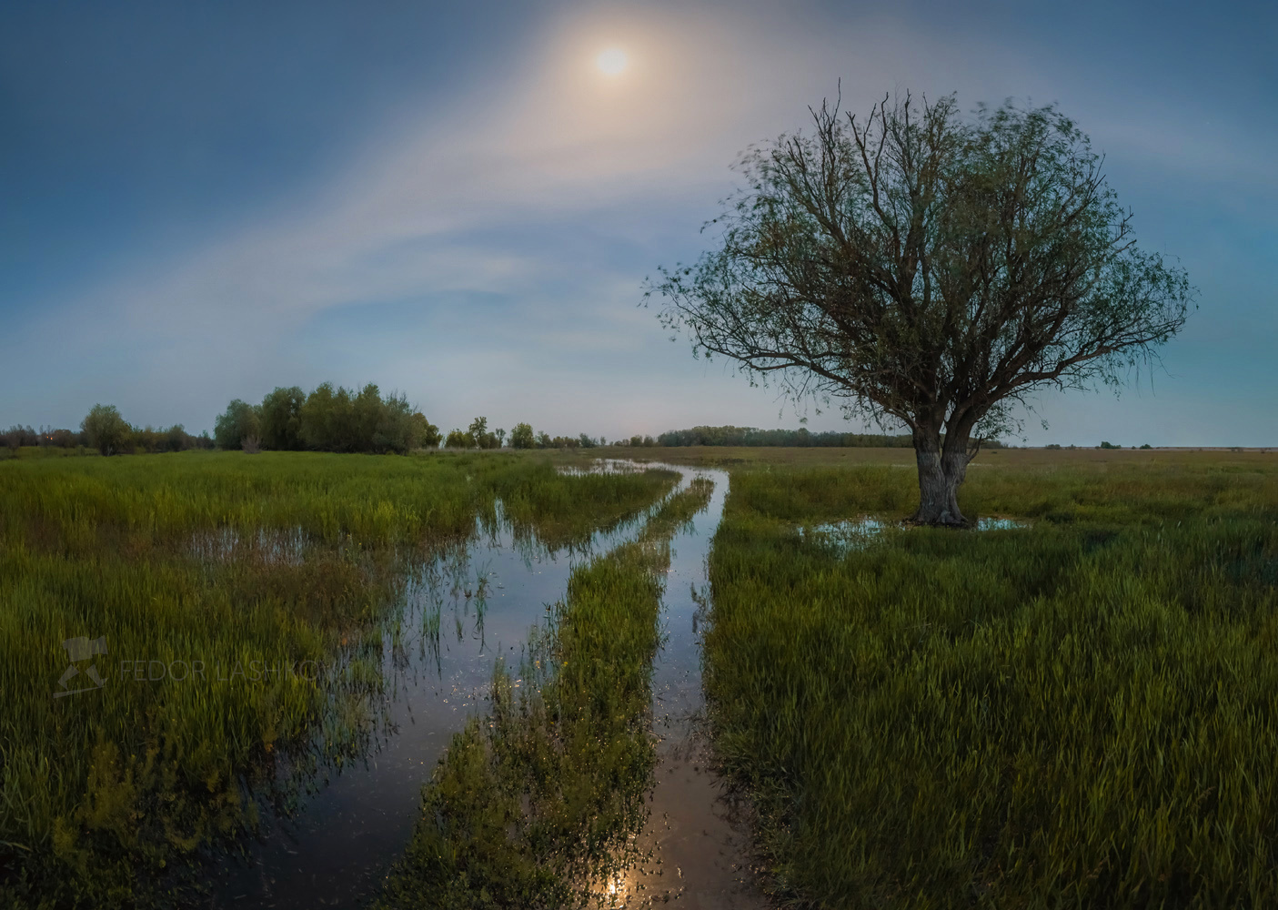 Дорога Астраханская область река вода Волга половодье Поволжье ночь луна дорога просёлка затопление трава дерево ива одно