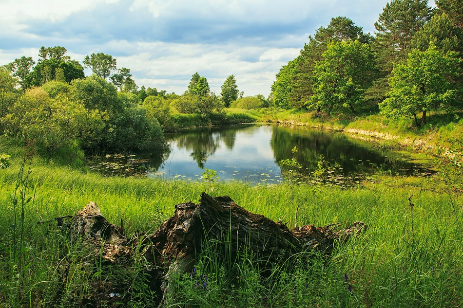 ***Колдовское озеро пейзаж озеро лето лес