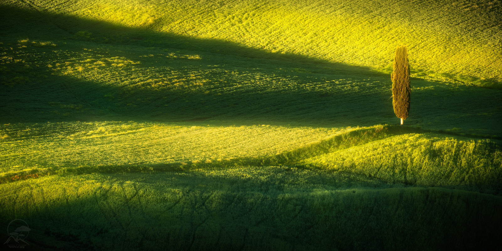 Из солнечной Тосканы привет пейзаж италия тоскана кипарис холмы весна