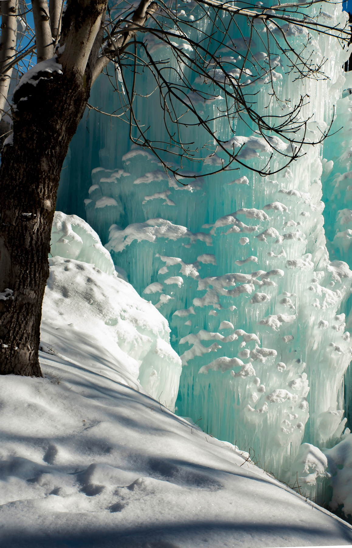 Вход в страну Зазеркалья Лед природа водопад снег солнечно дерево