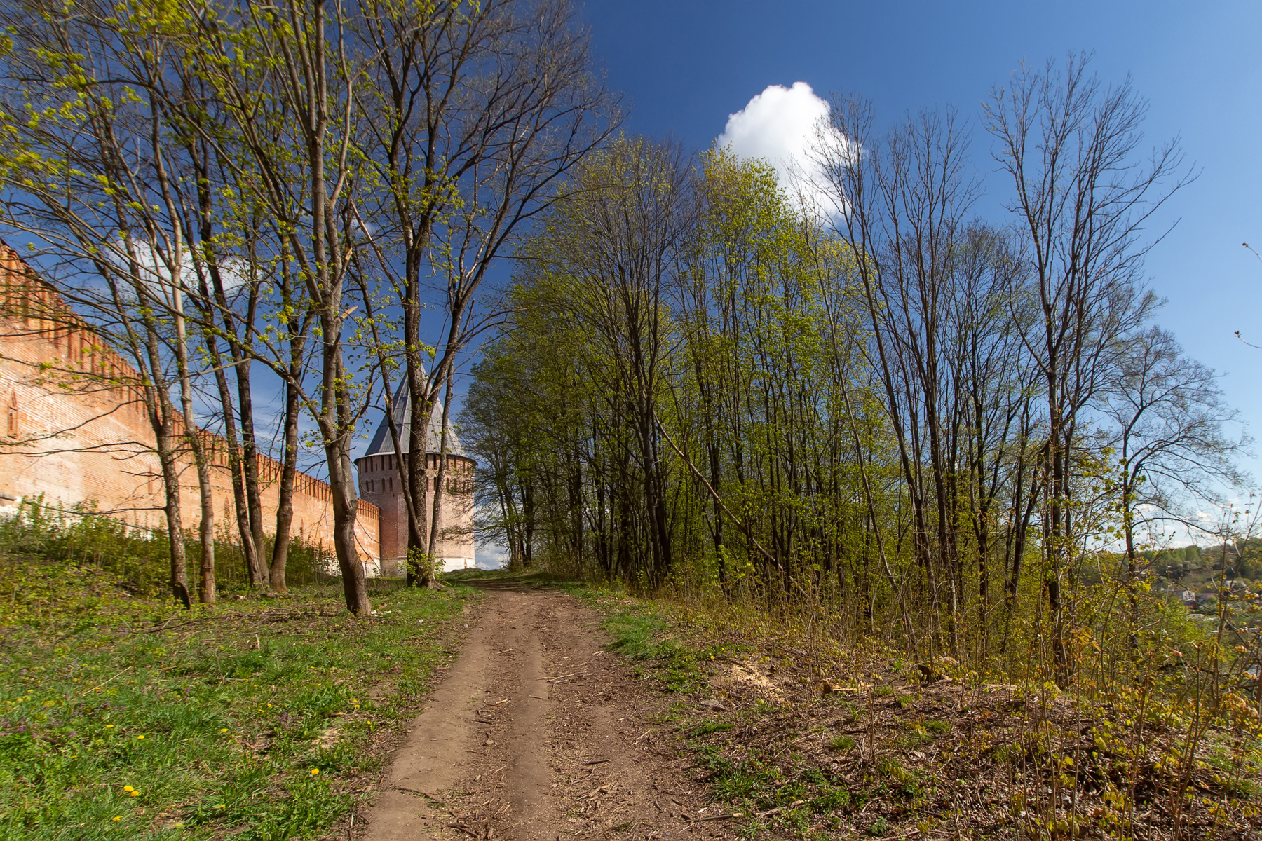 Весенний Смоленск пейзаж смоленск весна стена крепостная